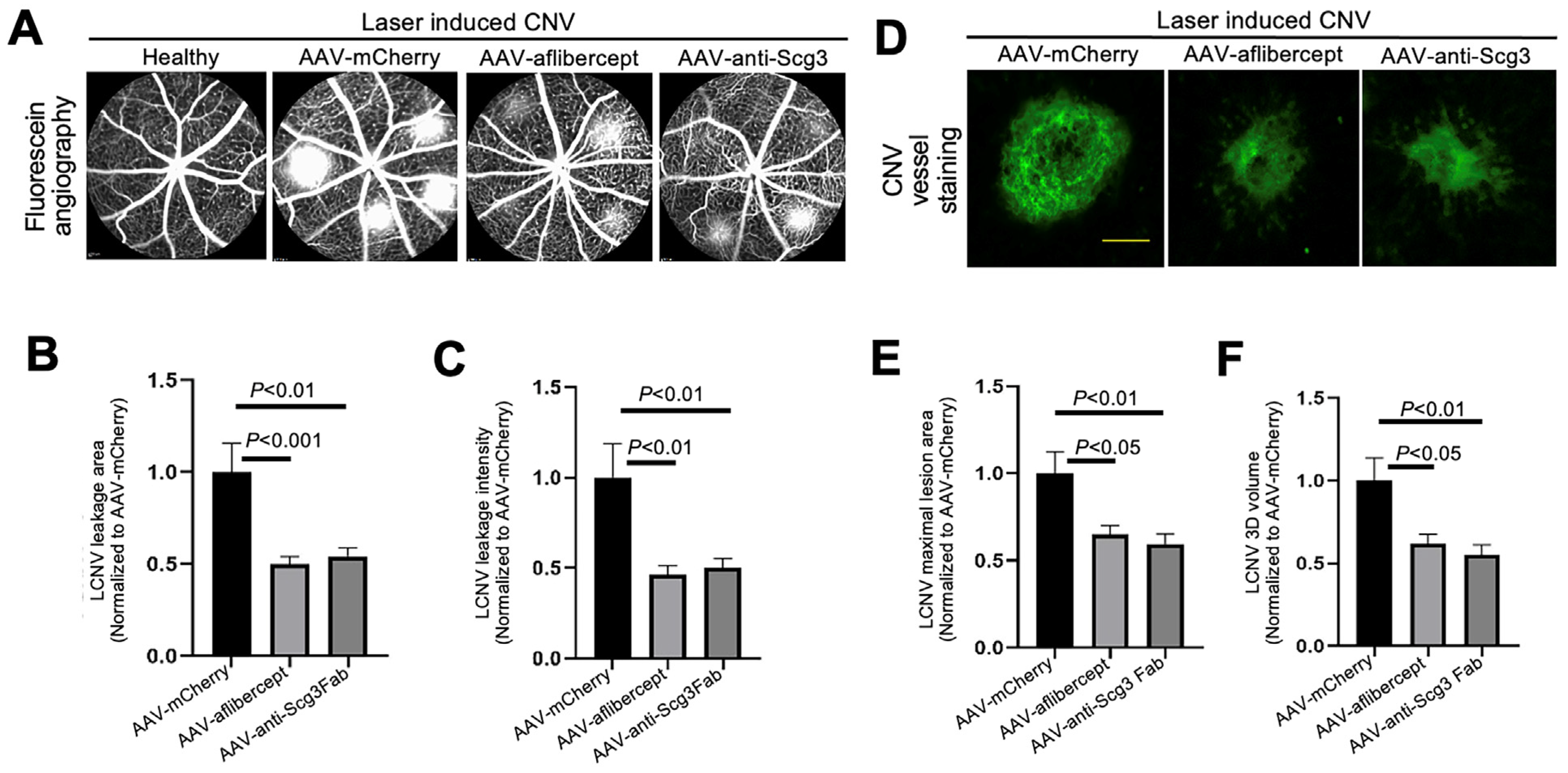 Biomedicines 11 01910 g003 Biomedicines 11 01910 g003
