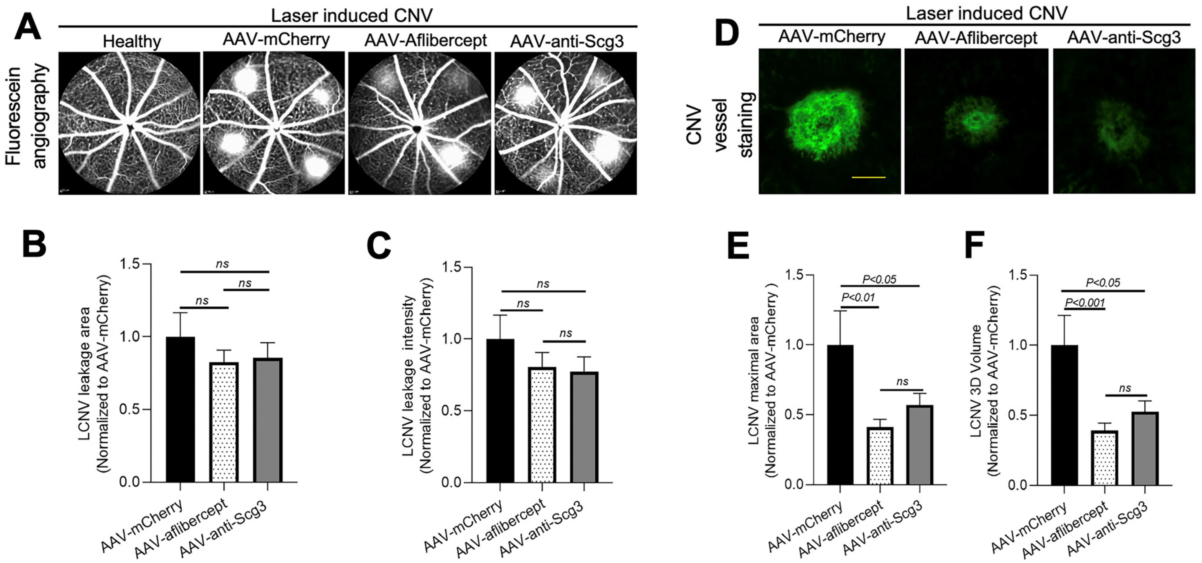 Biomedicines 11 01910 g004 Biomedicines 11 01910 g004