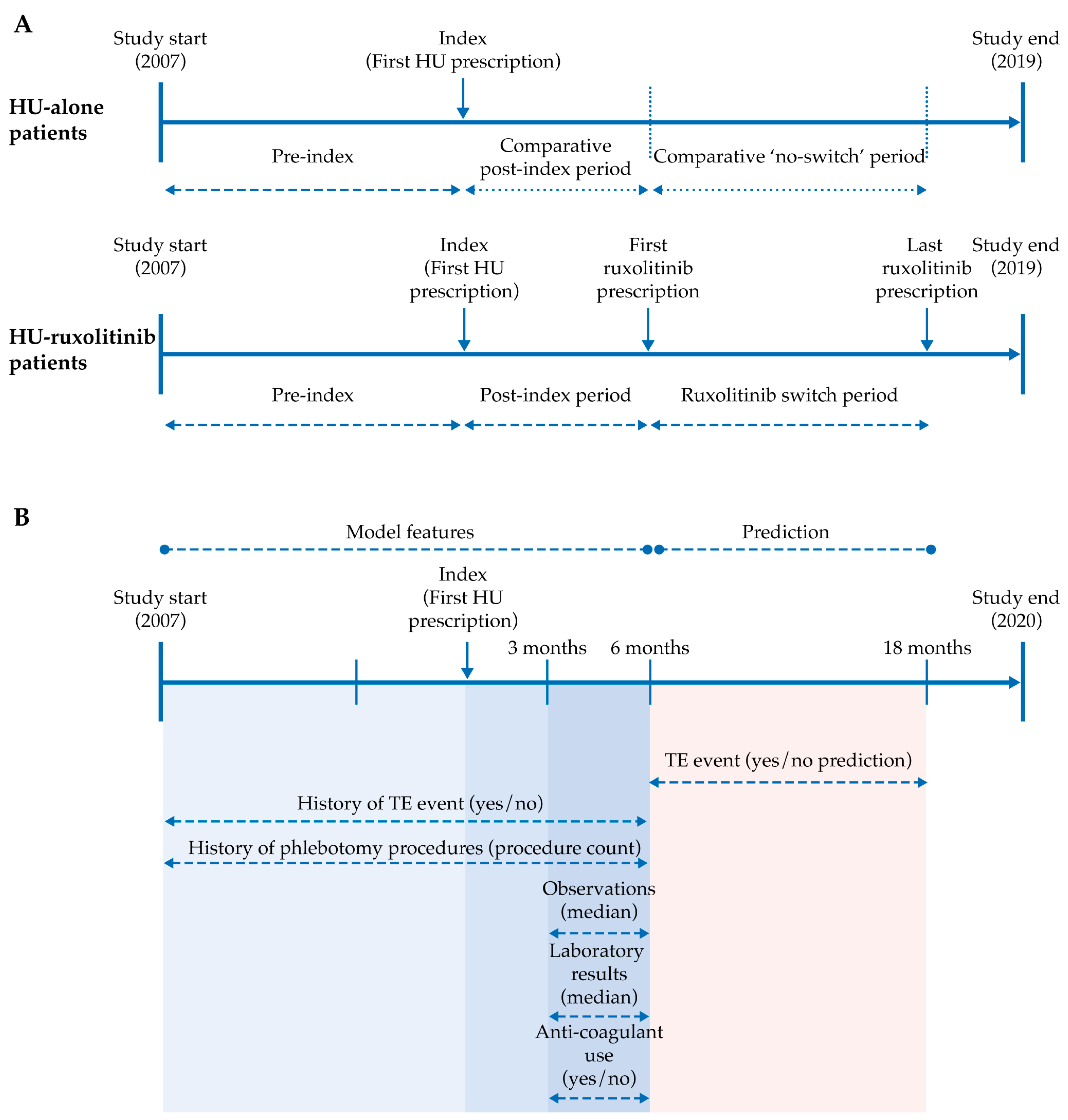 Biomedicines 11 01925 g001