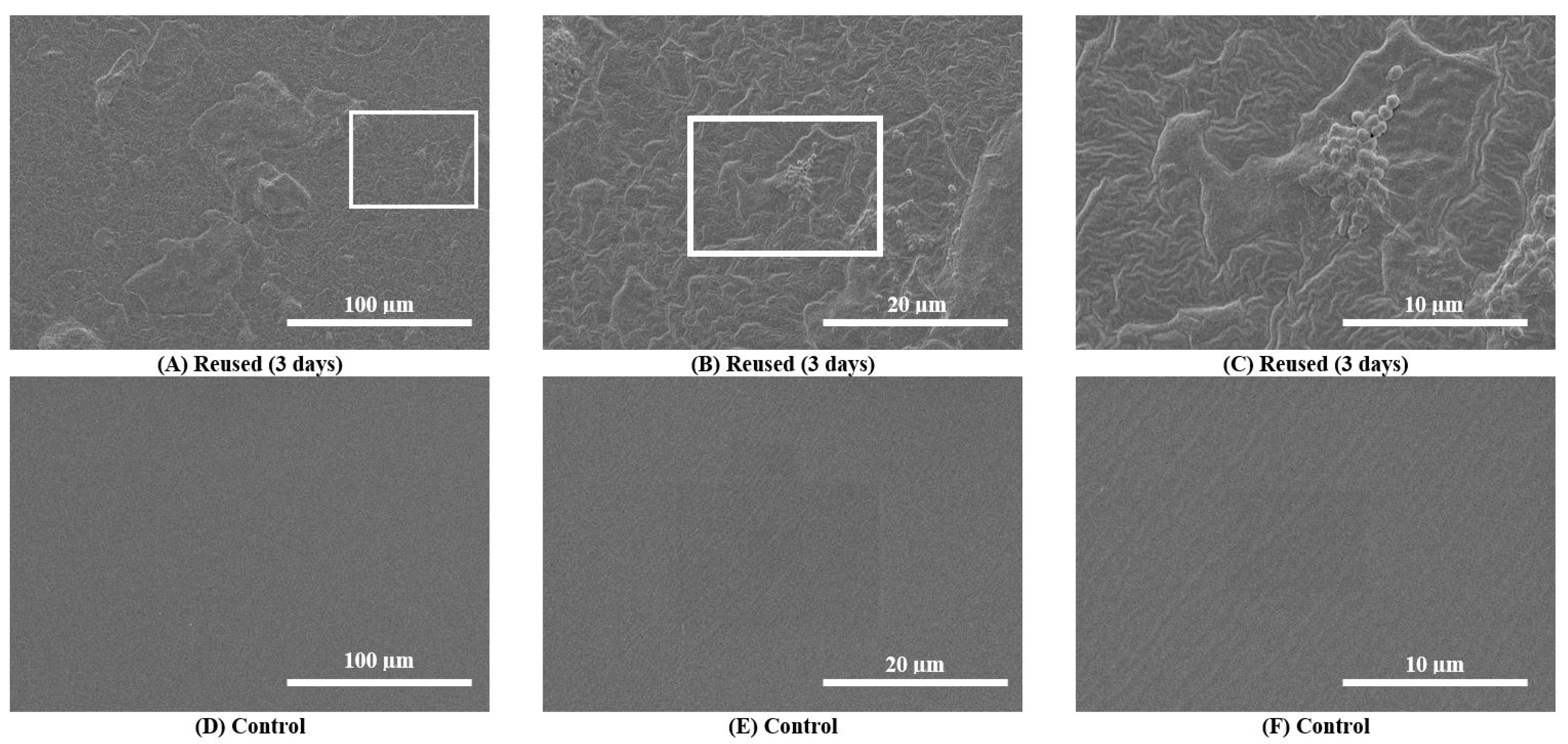 Biomedicines 11 01929 g002 Biomedicines 11 01929 g002