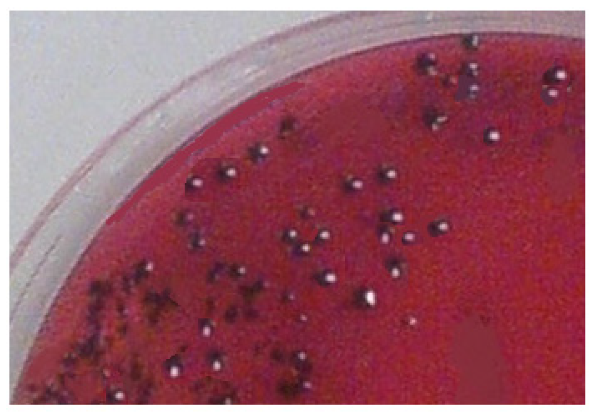 Biomedicines 11 01932 g004 Biomedicines 11 01932 g004