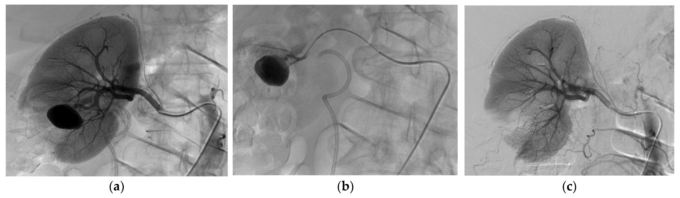 Biomedicines 11 01935 g001