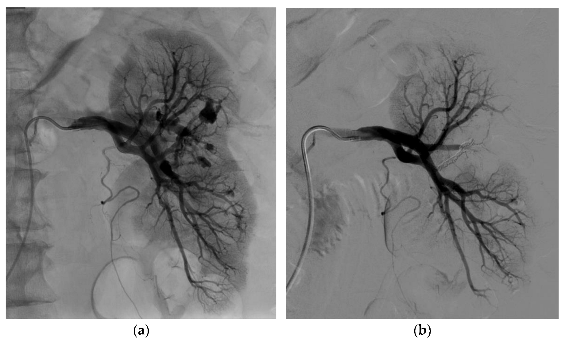 Biomedicines 11 01935 g004