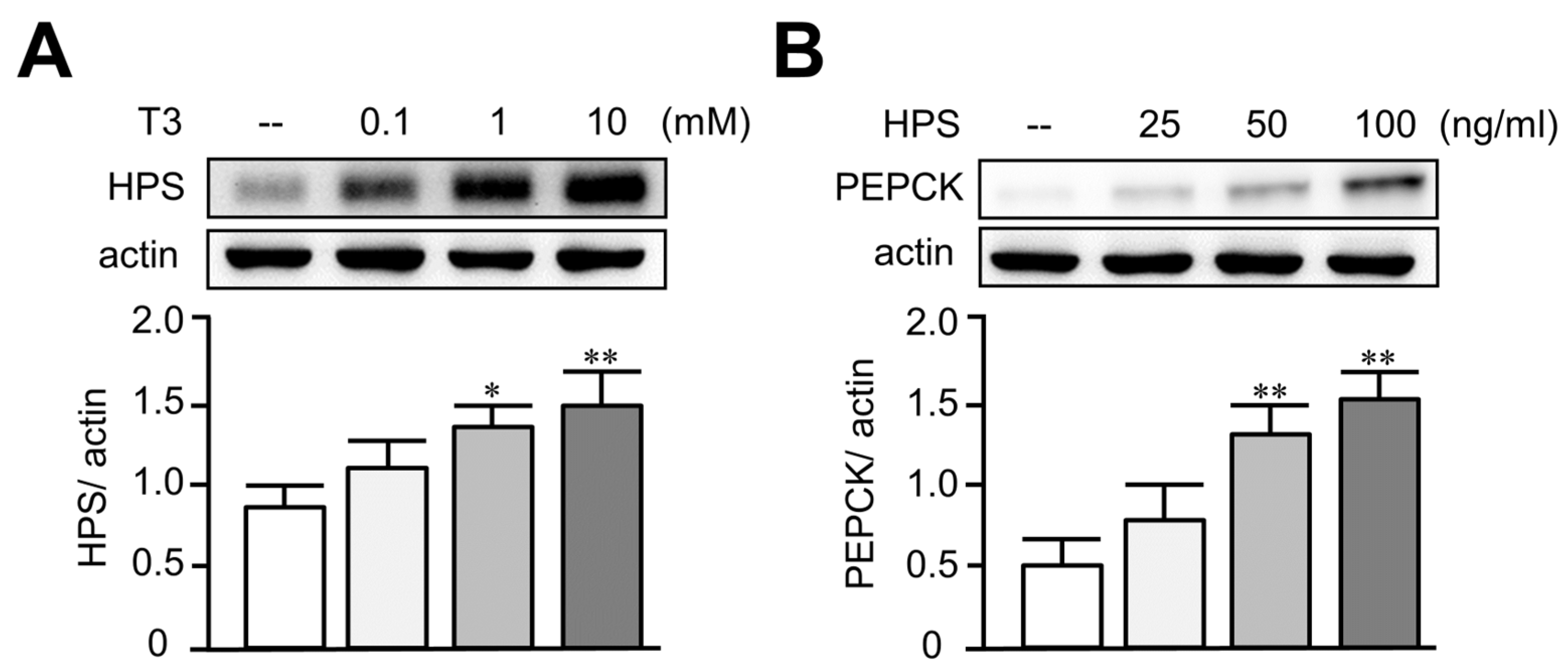 Biomedicines 11 01936 g002