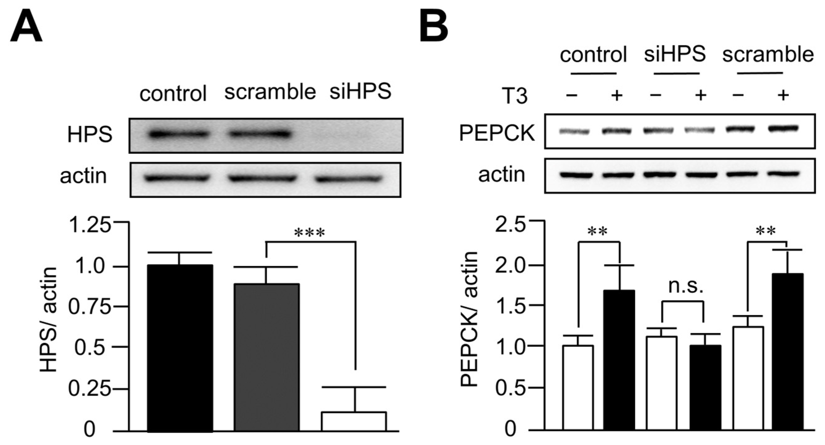 Biomedicines 11 01936 g004