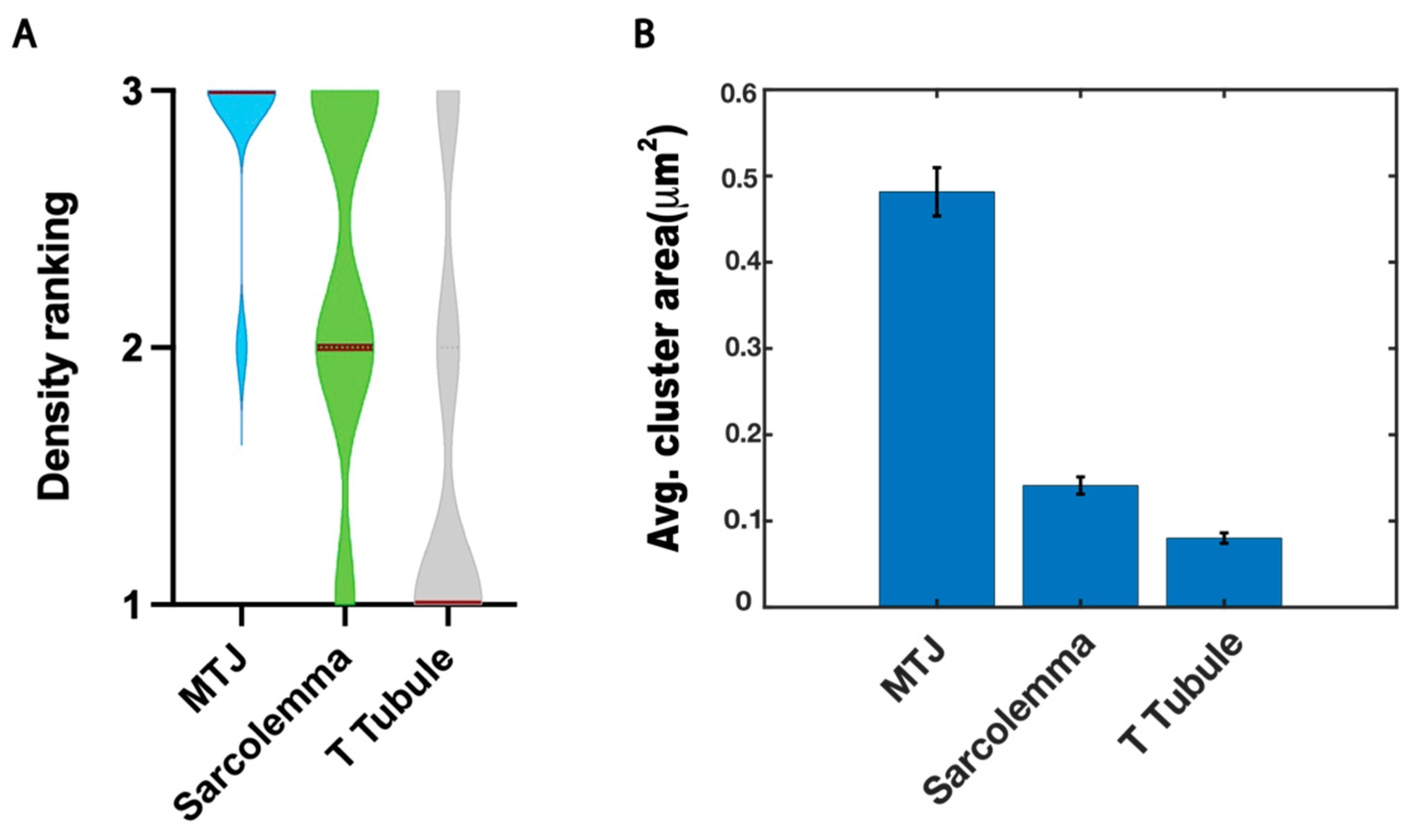 Biomedicines 11 01941 g007