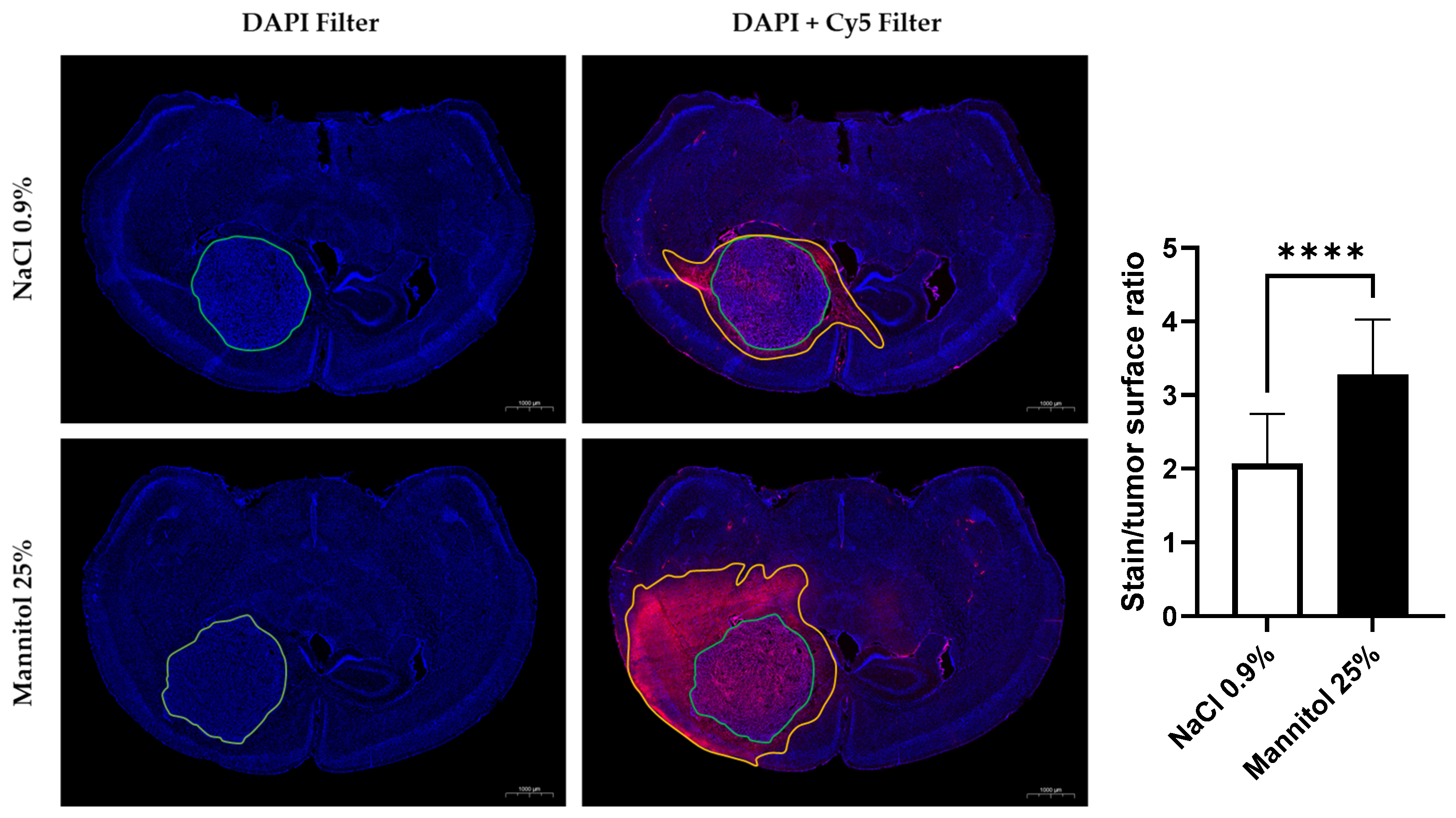 Biomedicines 11 01957 g002