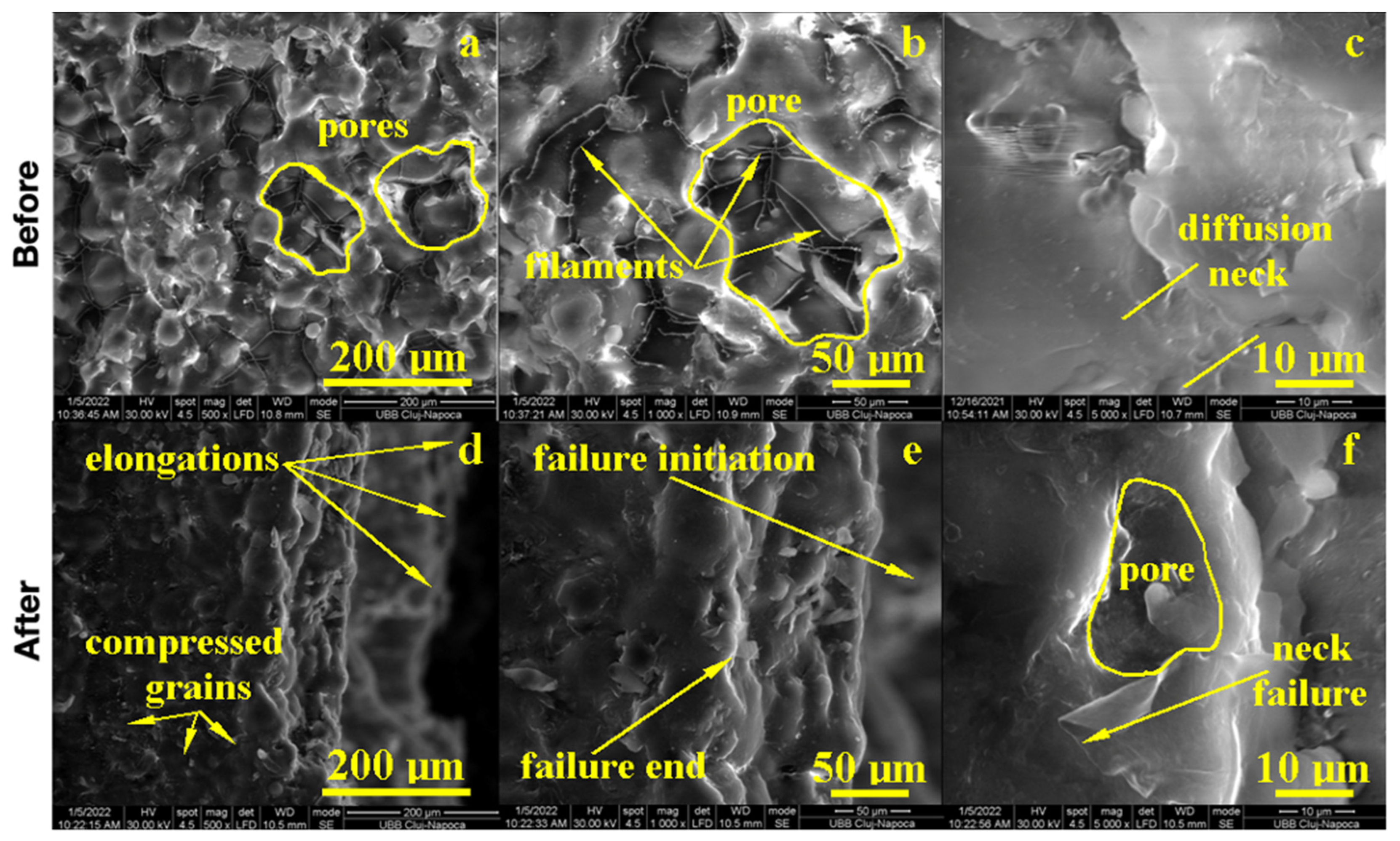 Biomedicines 11 01965 g004 Biomedicines 11 01965 g004