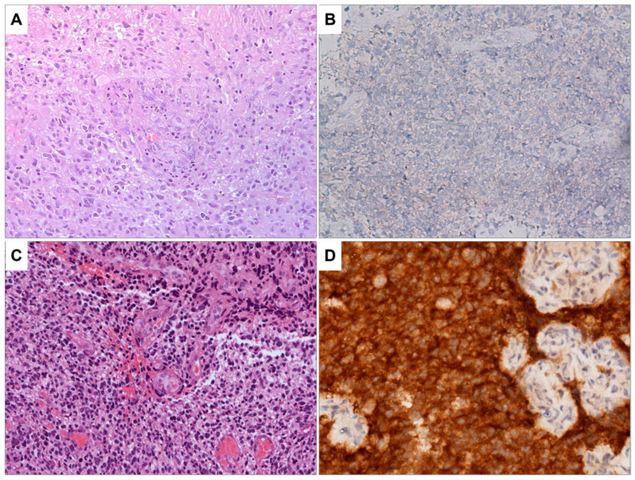 Biomedicines 11 01968 g001