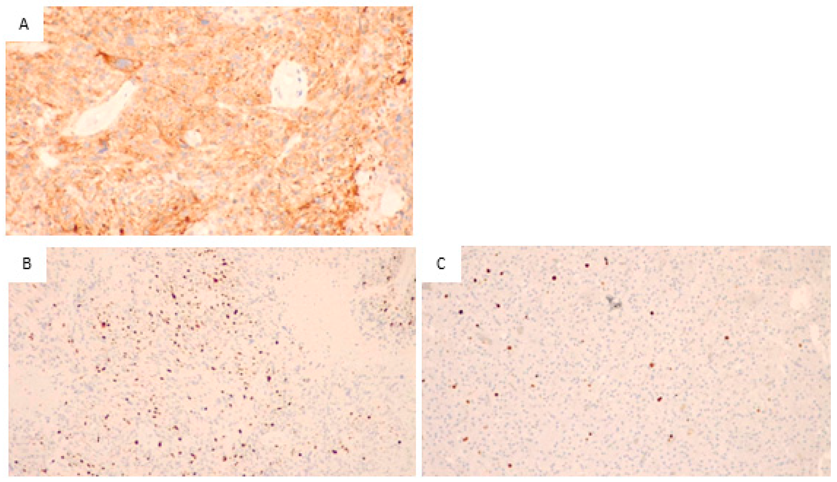 Biomedicines 11 01968 g002