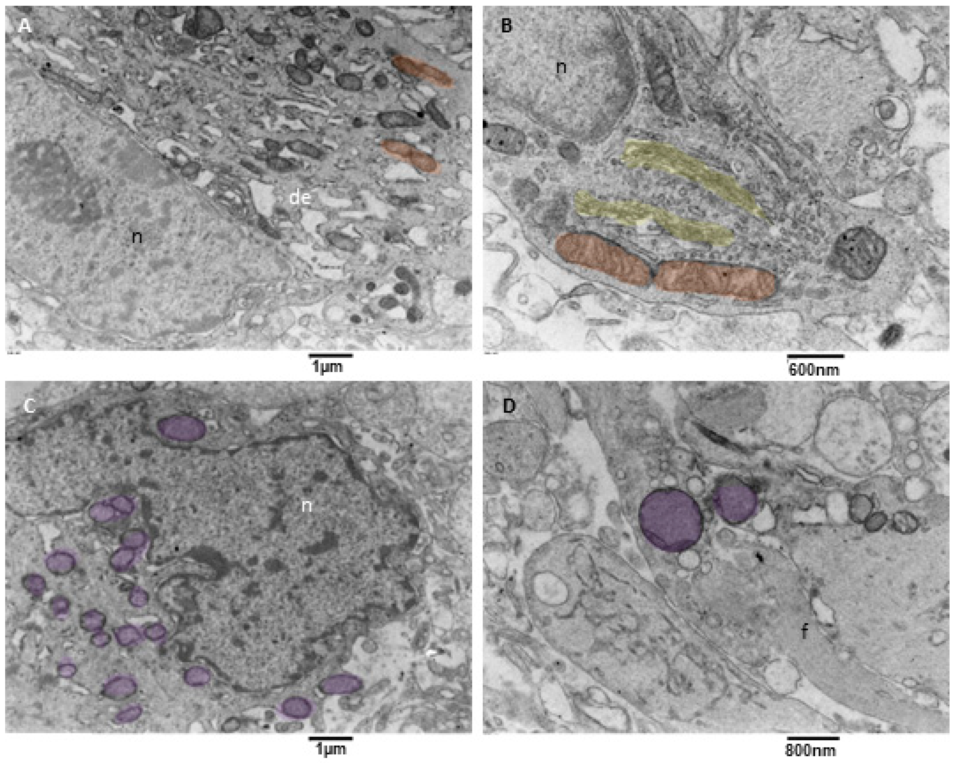 Biomedicines 11 01968 g008