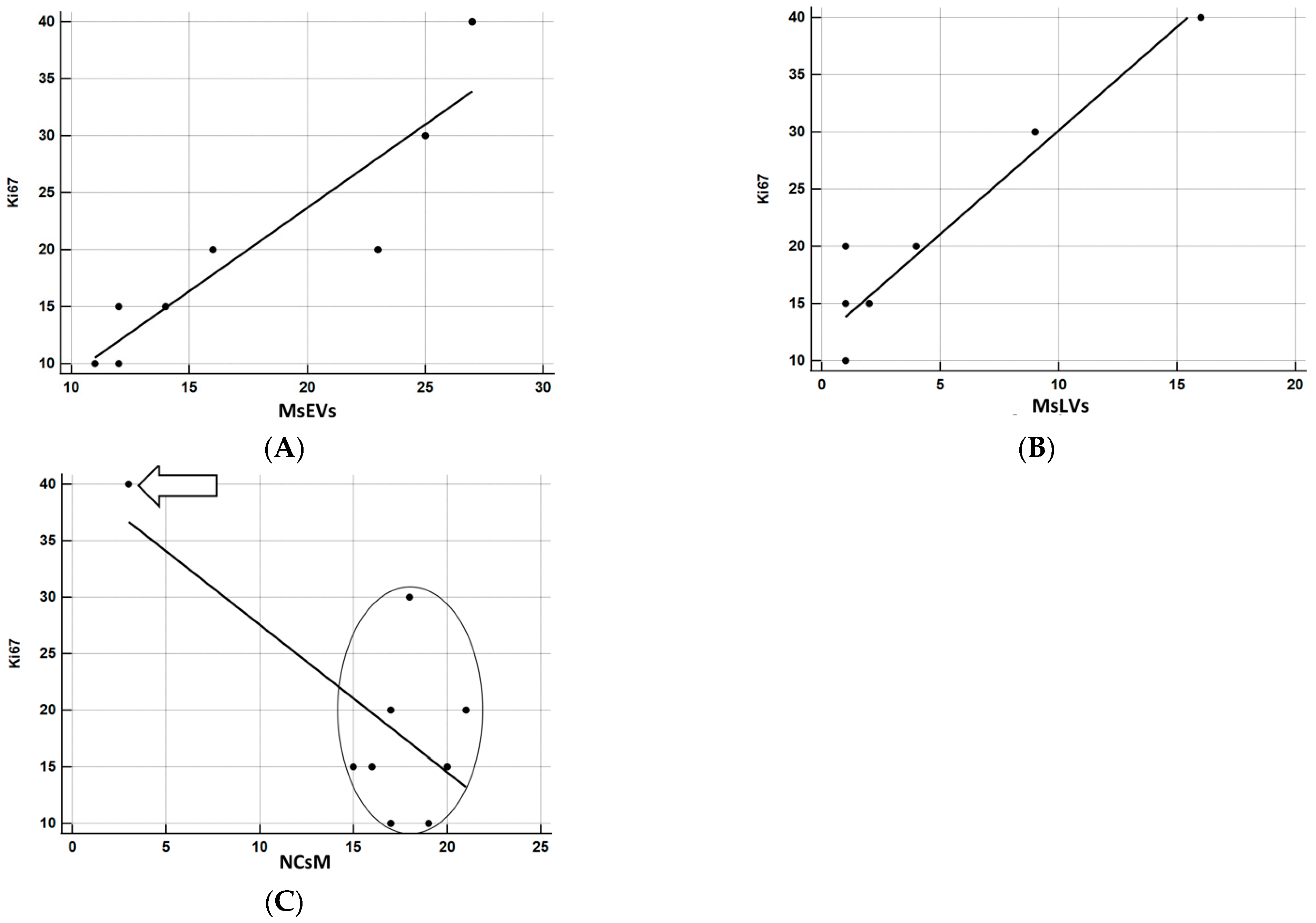 Biomedicines 11 01968 g014