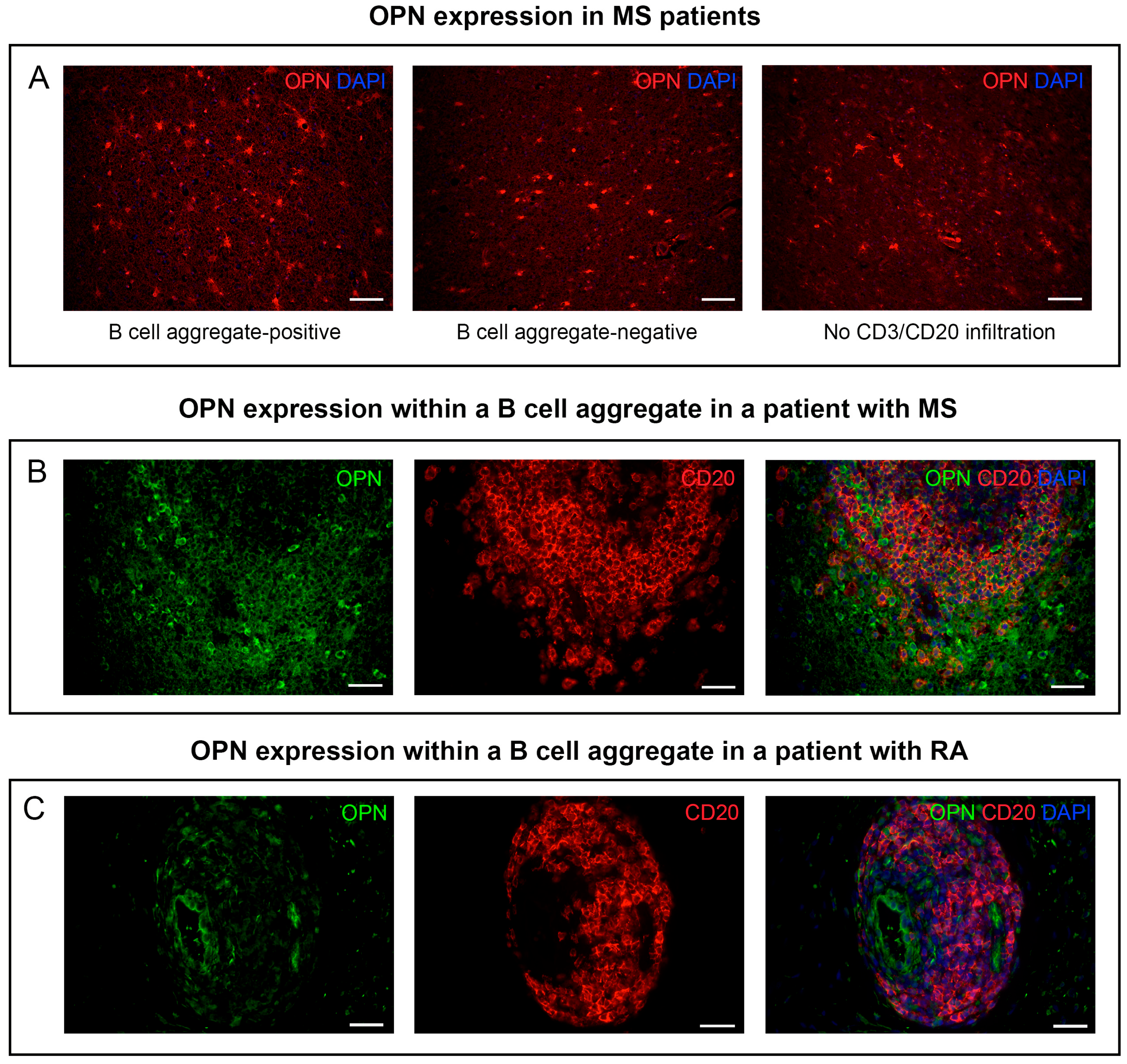 Biomedicines 11 01969 g001