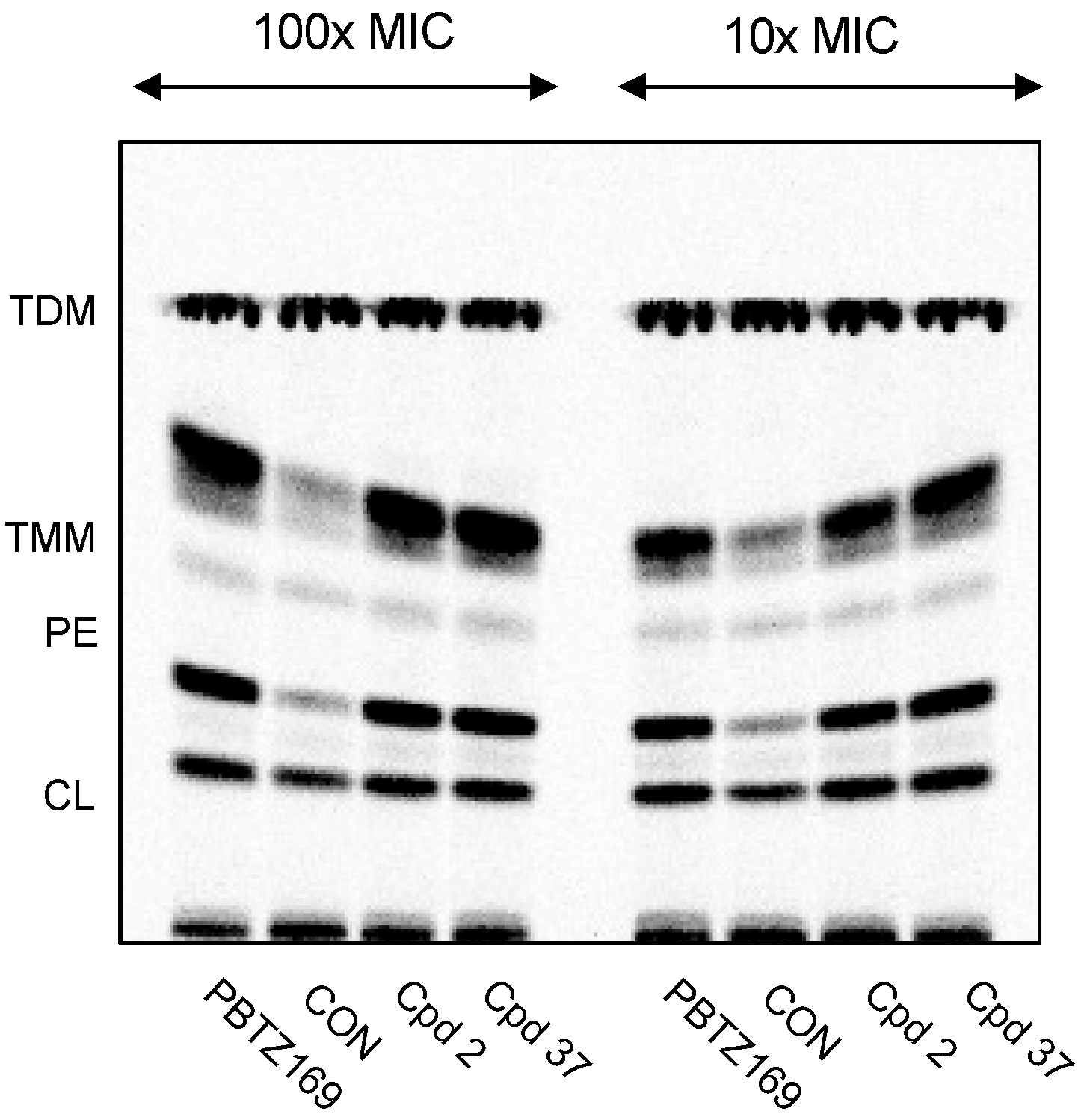 Biomedicines 11 01975 g003 Biomedicines 11 01975 g003