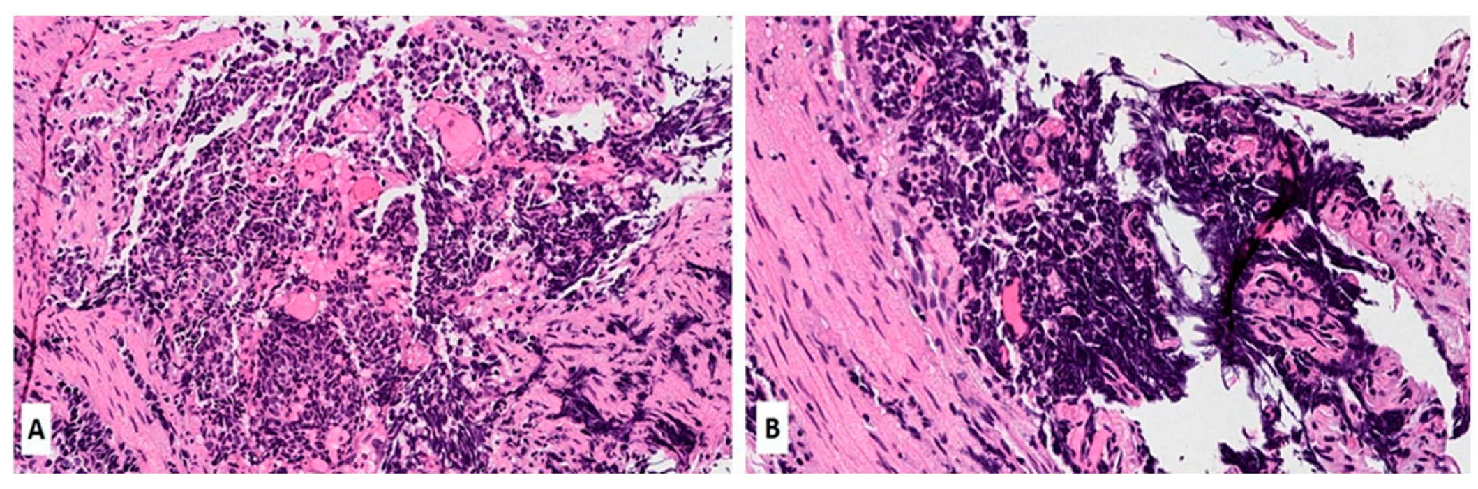 Biomedicines 11 01982 g001