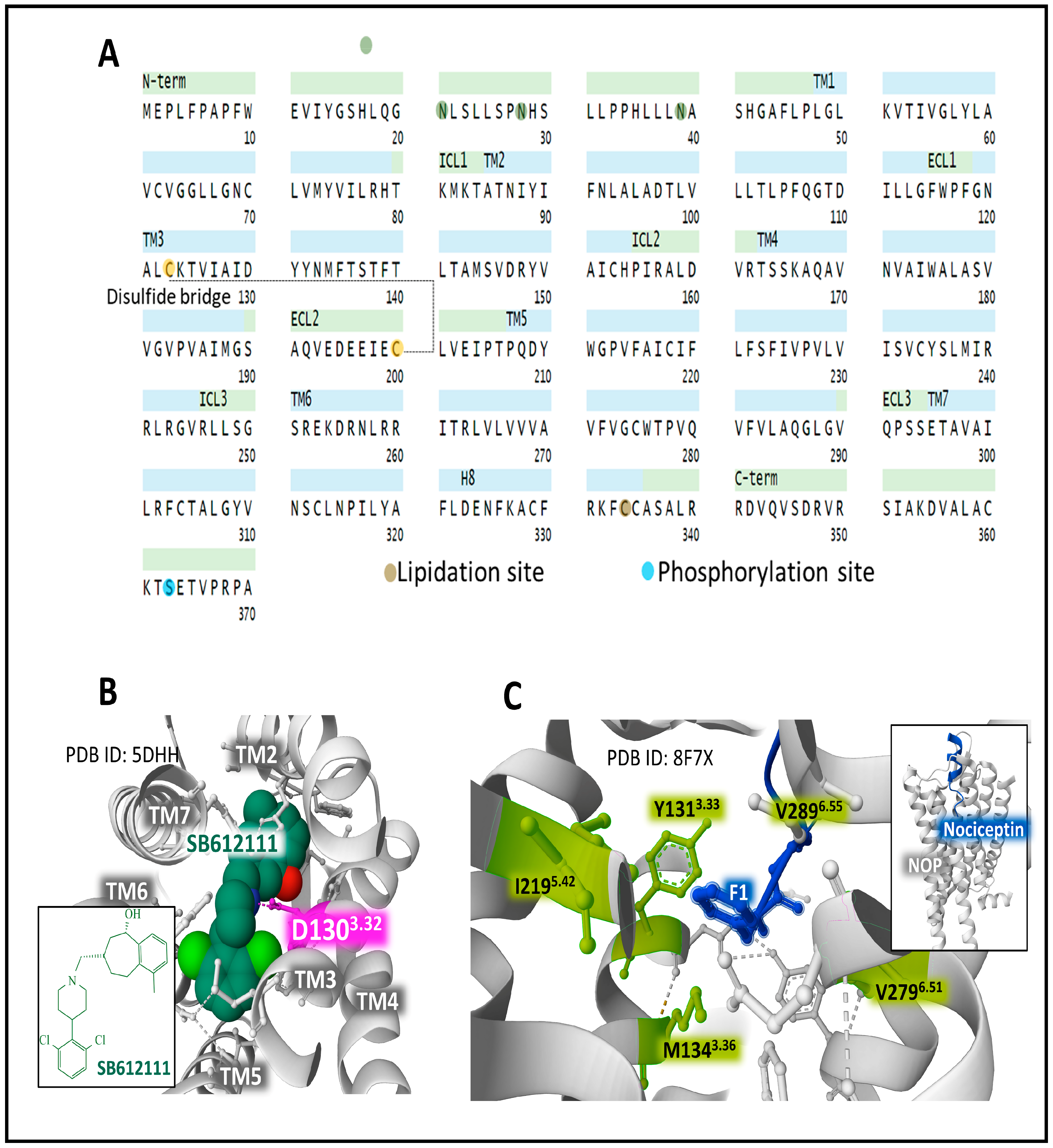 Biomedicines 11 01993 g007