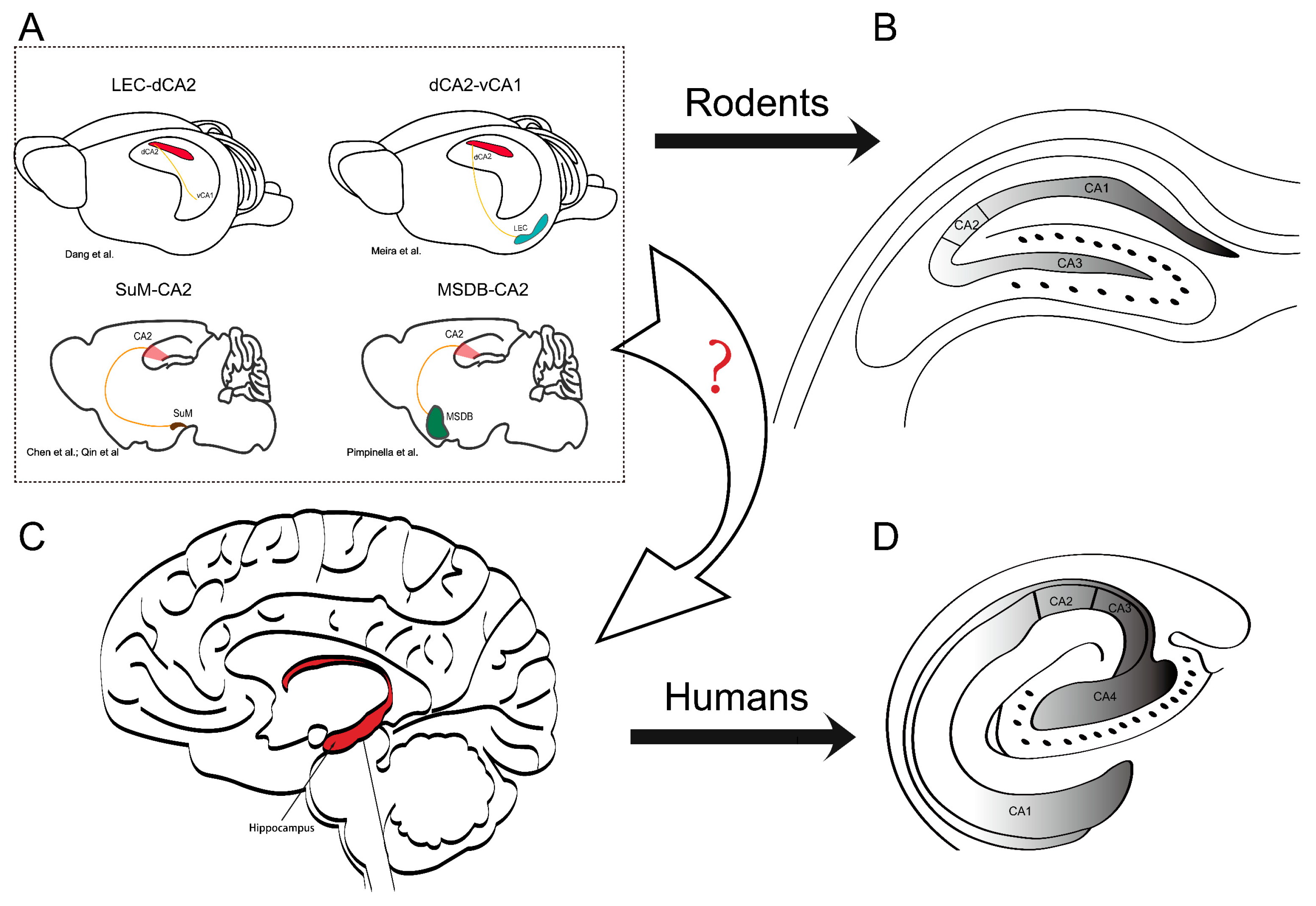 Biomedicines 11 01996 g001 Biomedicines 11 01996 g001