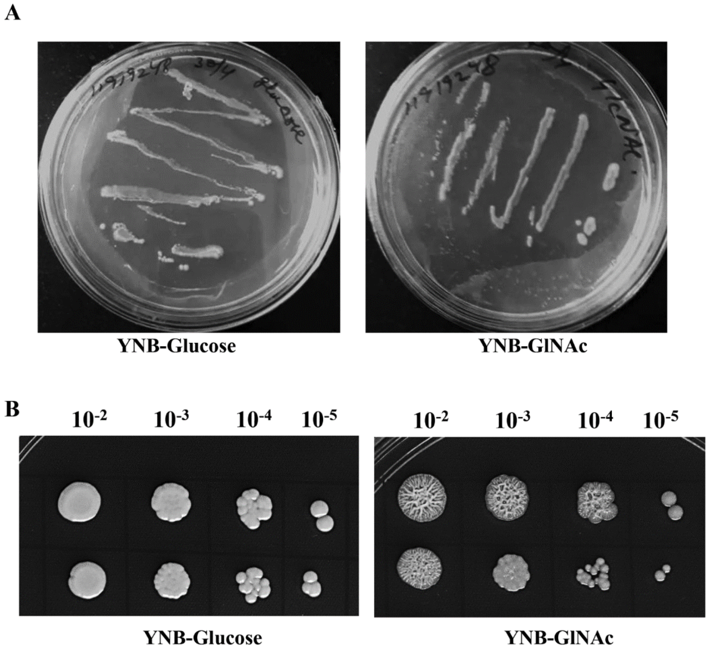 Biomedicines 11 01997 g002