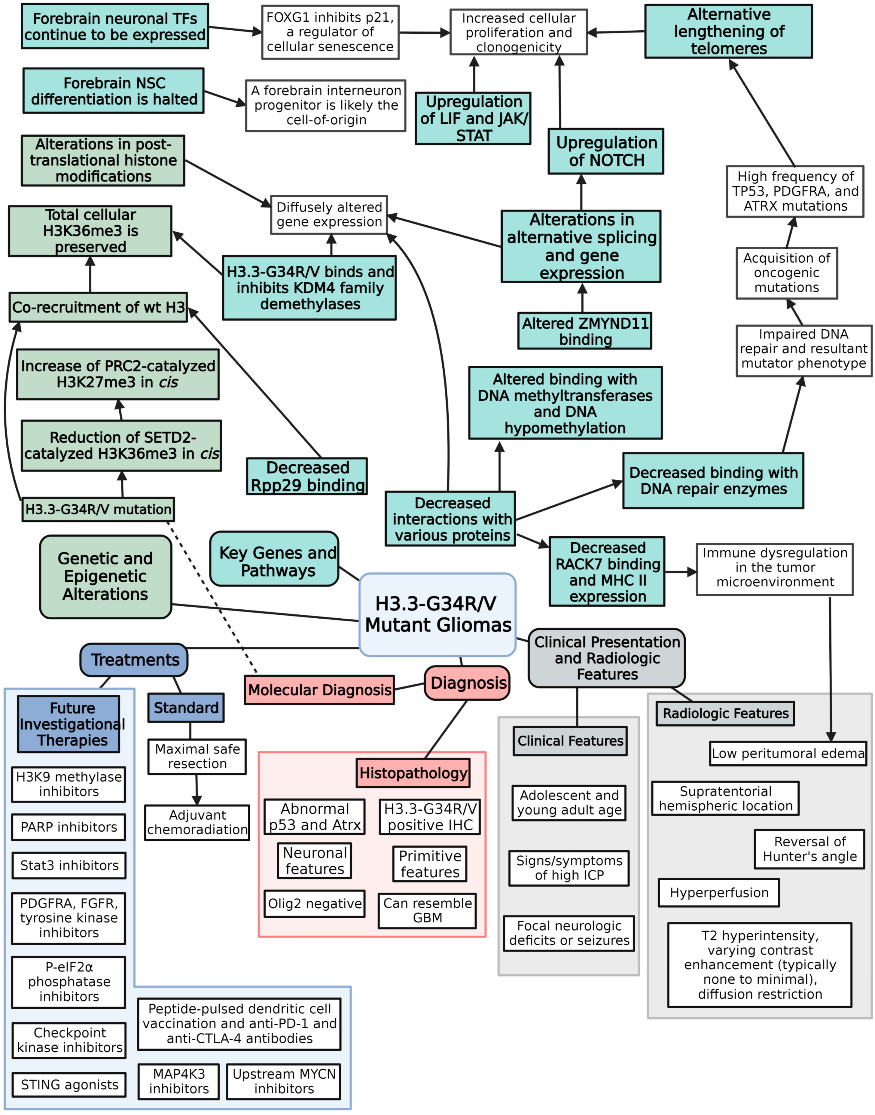 Biomedicines 11 02002 g002