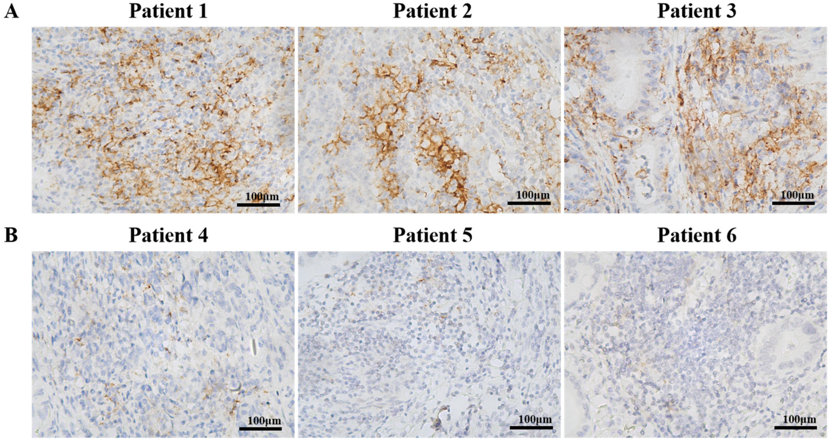 Biomedicines 11 02003 g001