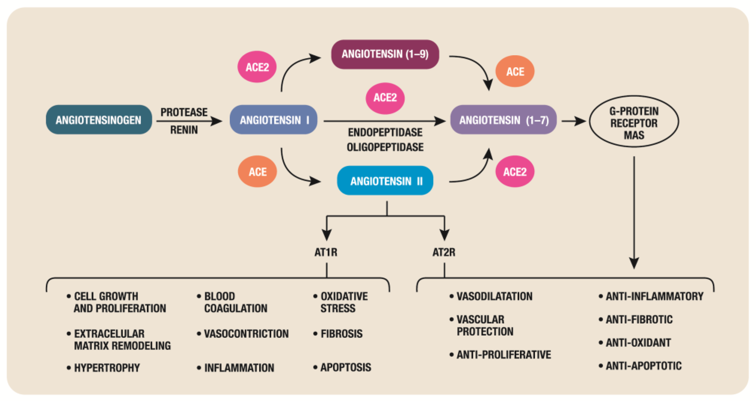 Biomedicines 11 02004 g001