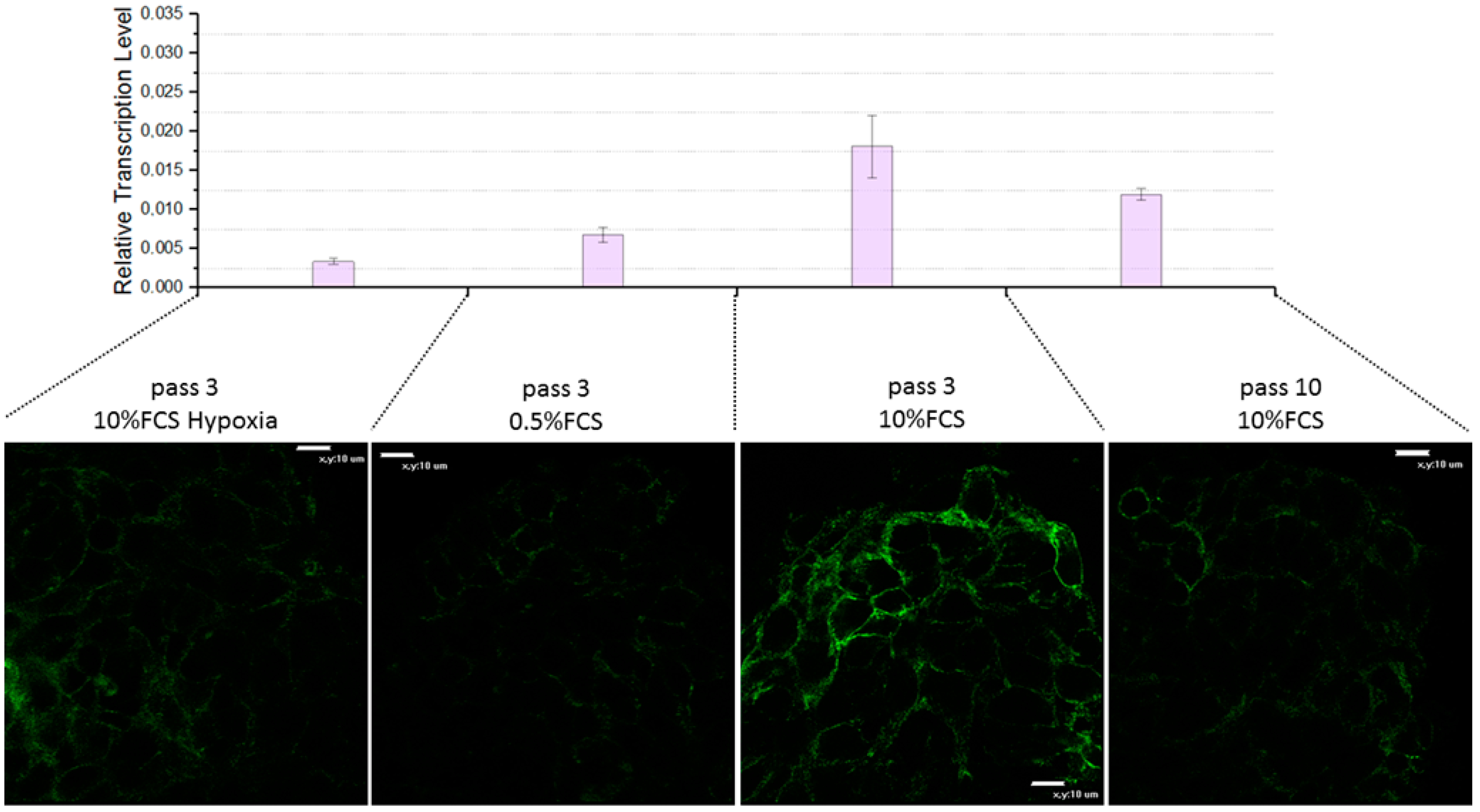 Biomedicines 11 02017 g005 Biomedicines 11 02017 g005