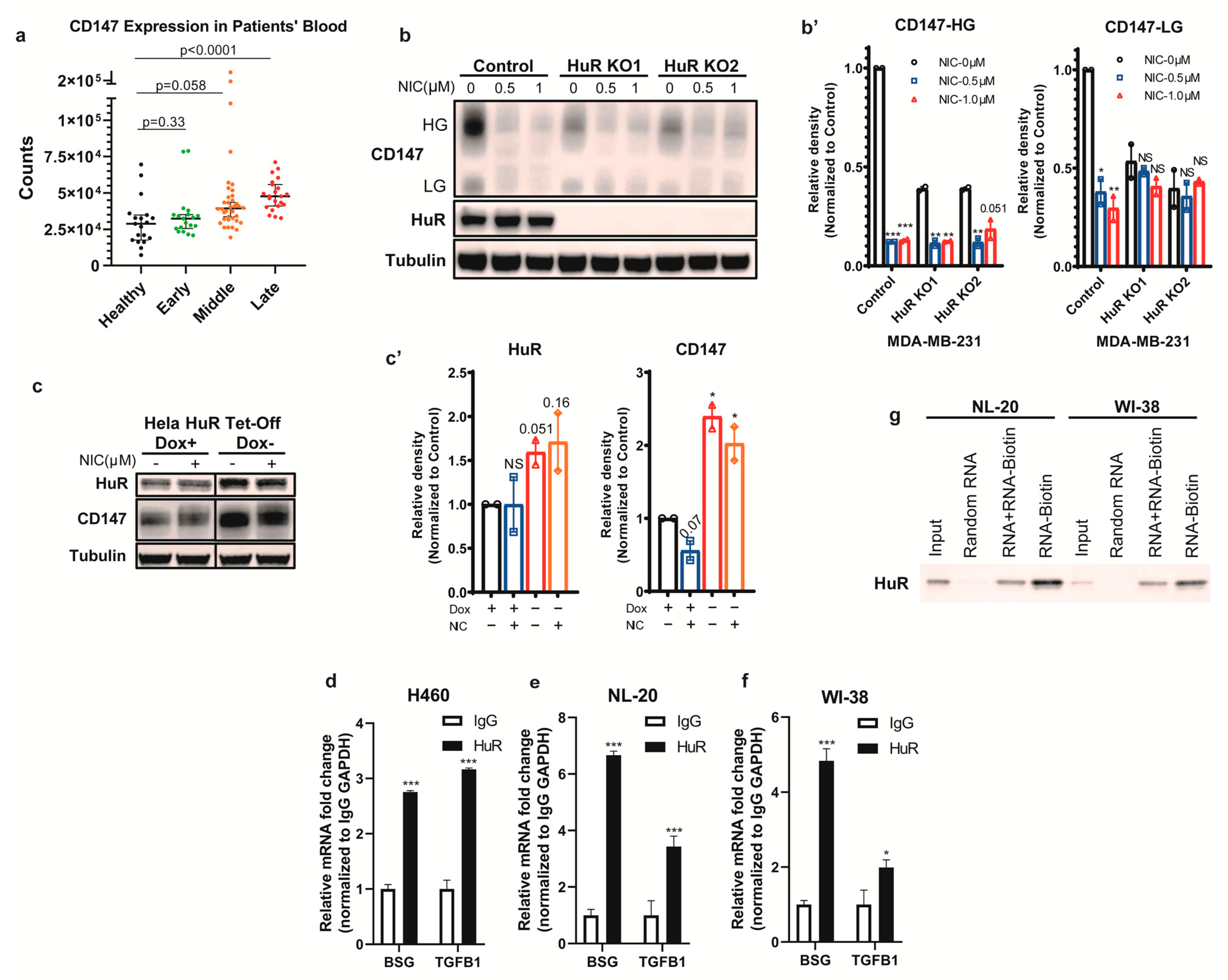 Biomedicines 11 02019 g001 Biomedicines 11 02019 g001