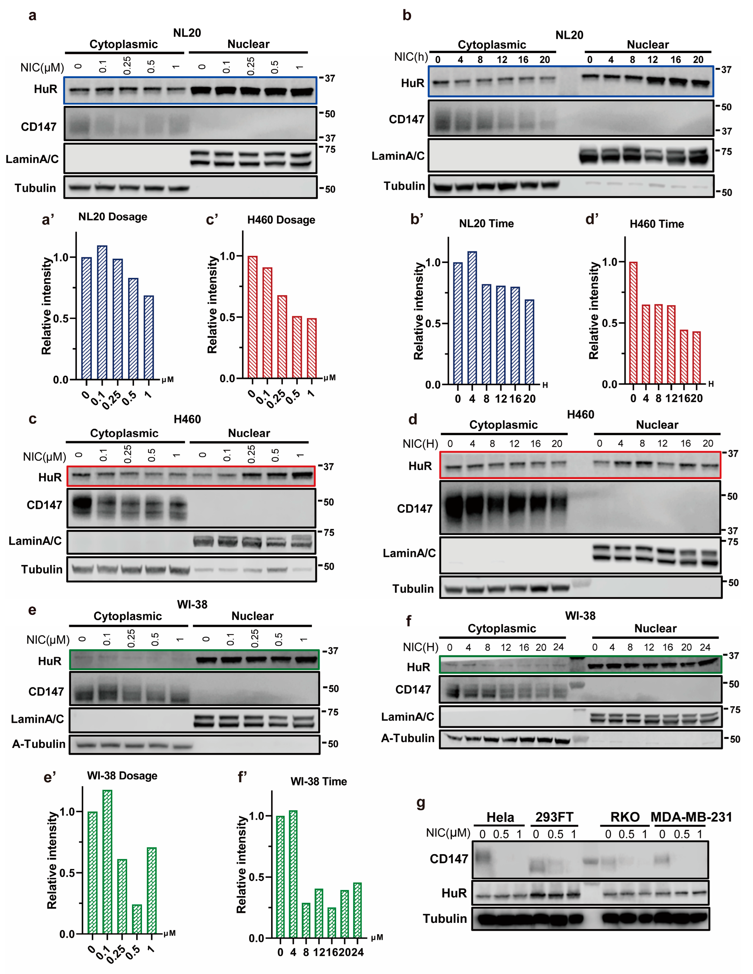 Biomedicines 11 02019 g003 Biomedicines 11 02019 g003