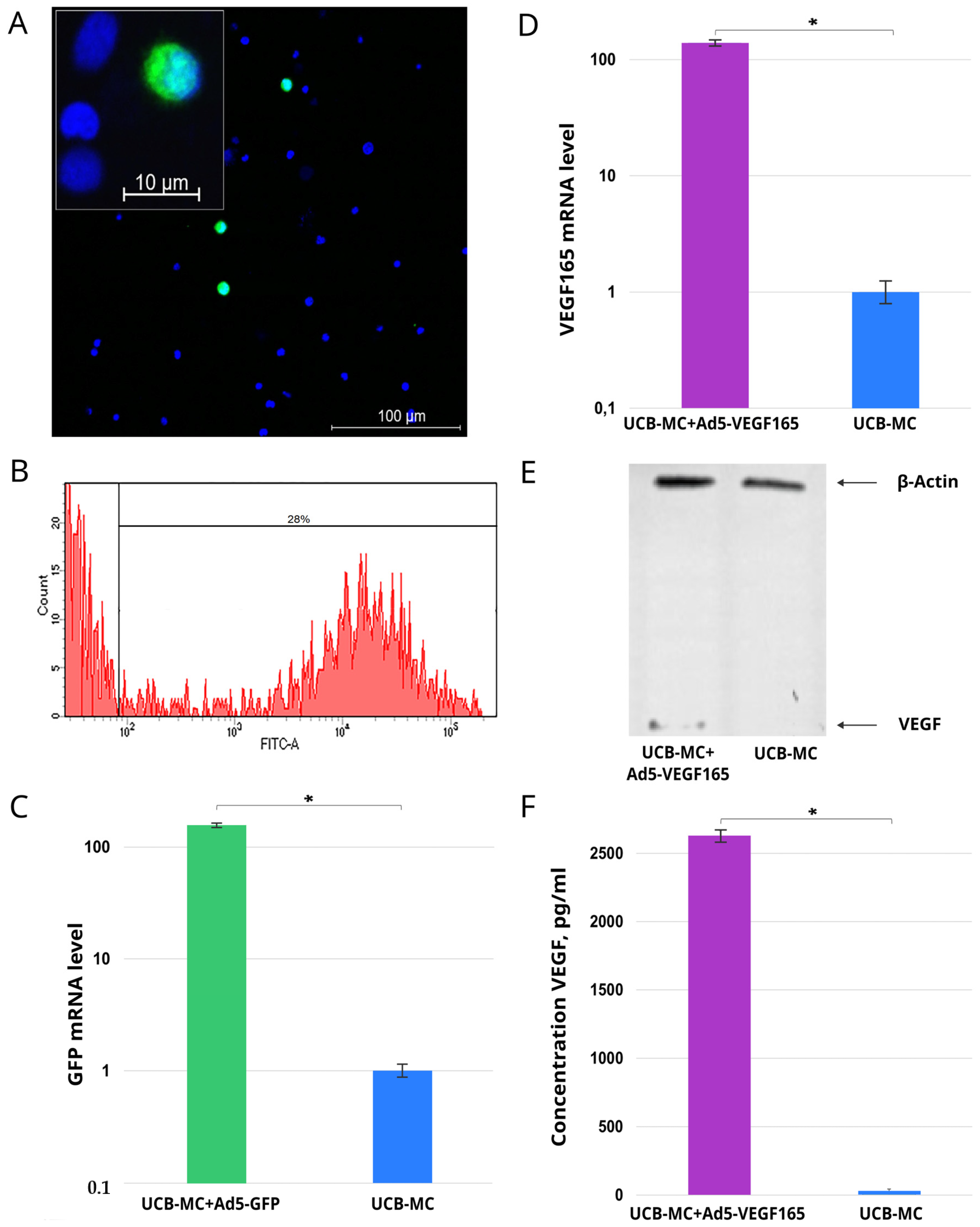 Biomedicines 11 02020 g001