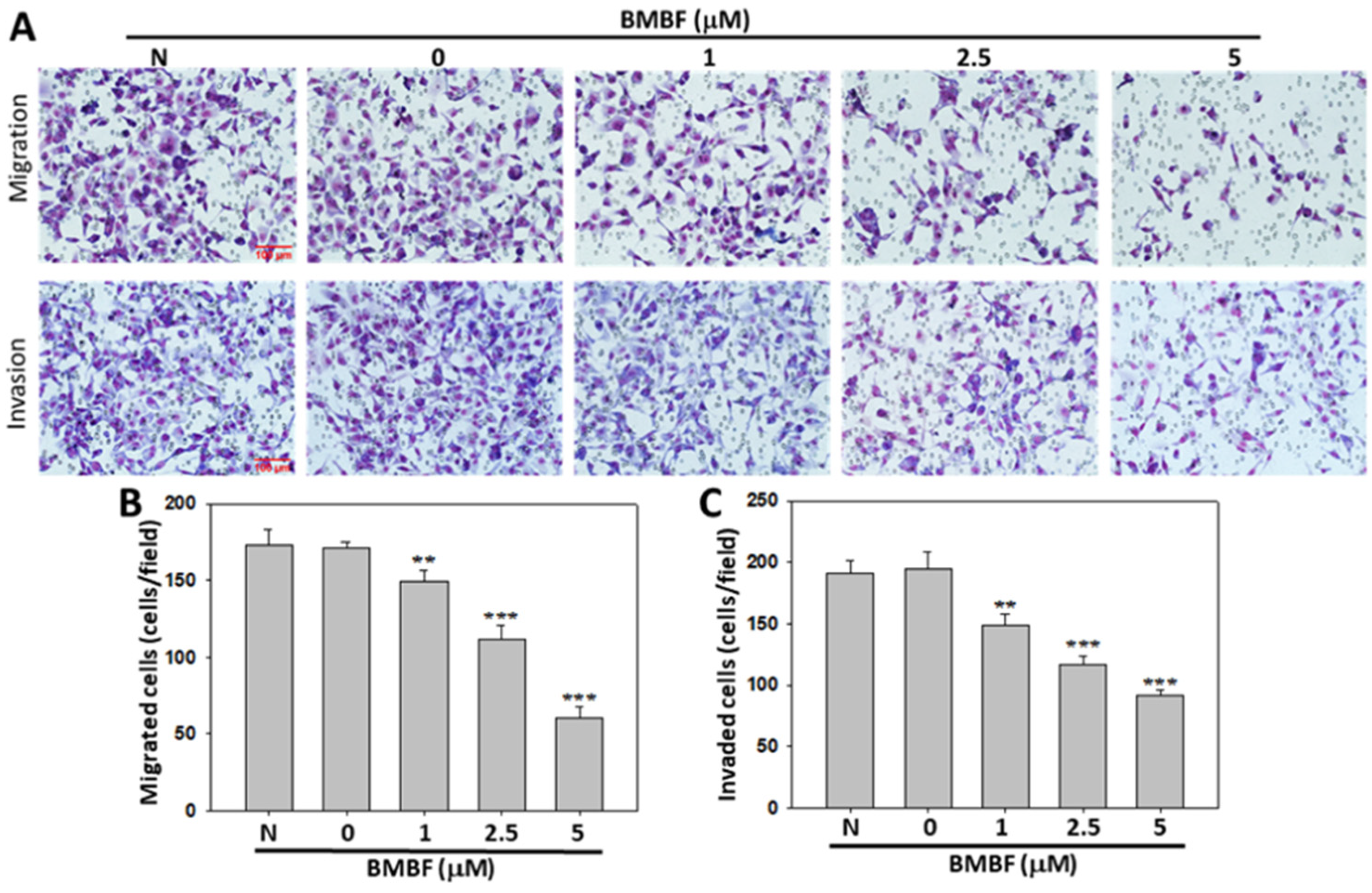 Biomedicines 11 02027 g004