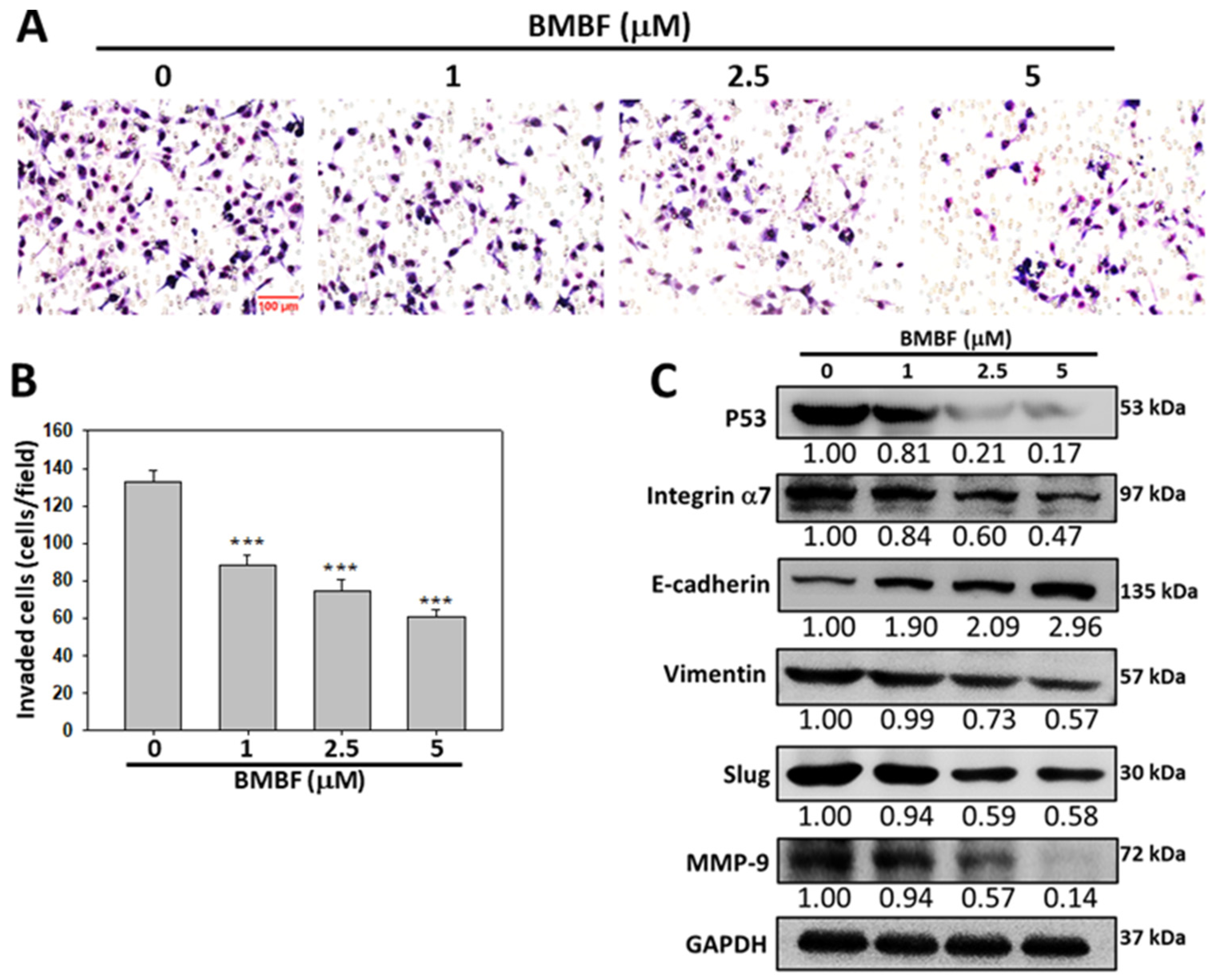Biomedicines 11 02027 g007
