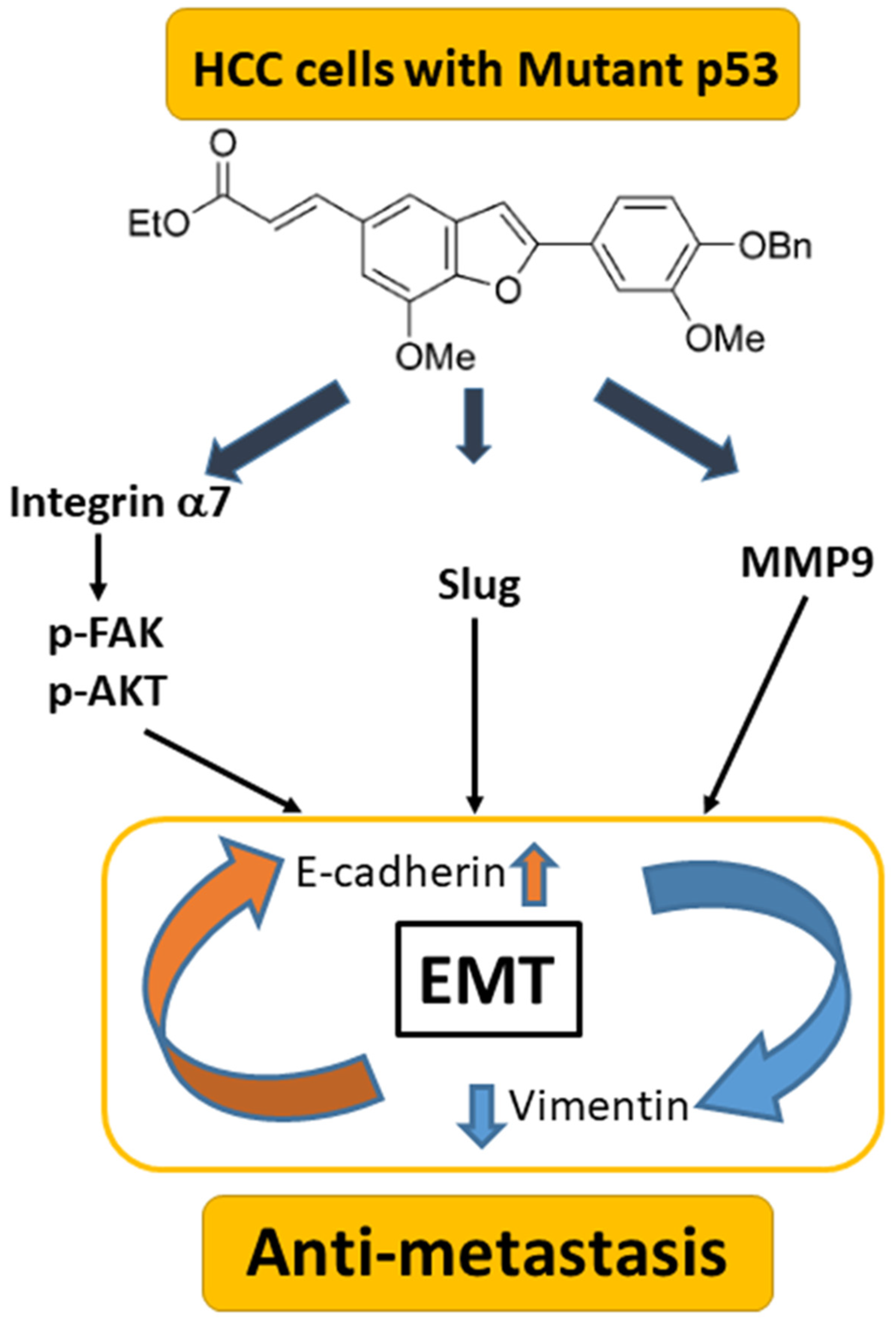 Biomedicines 11 02027 g008