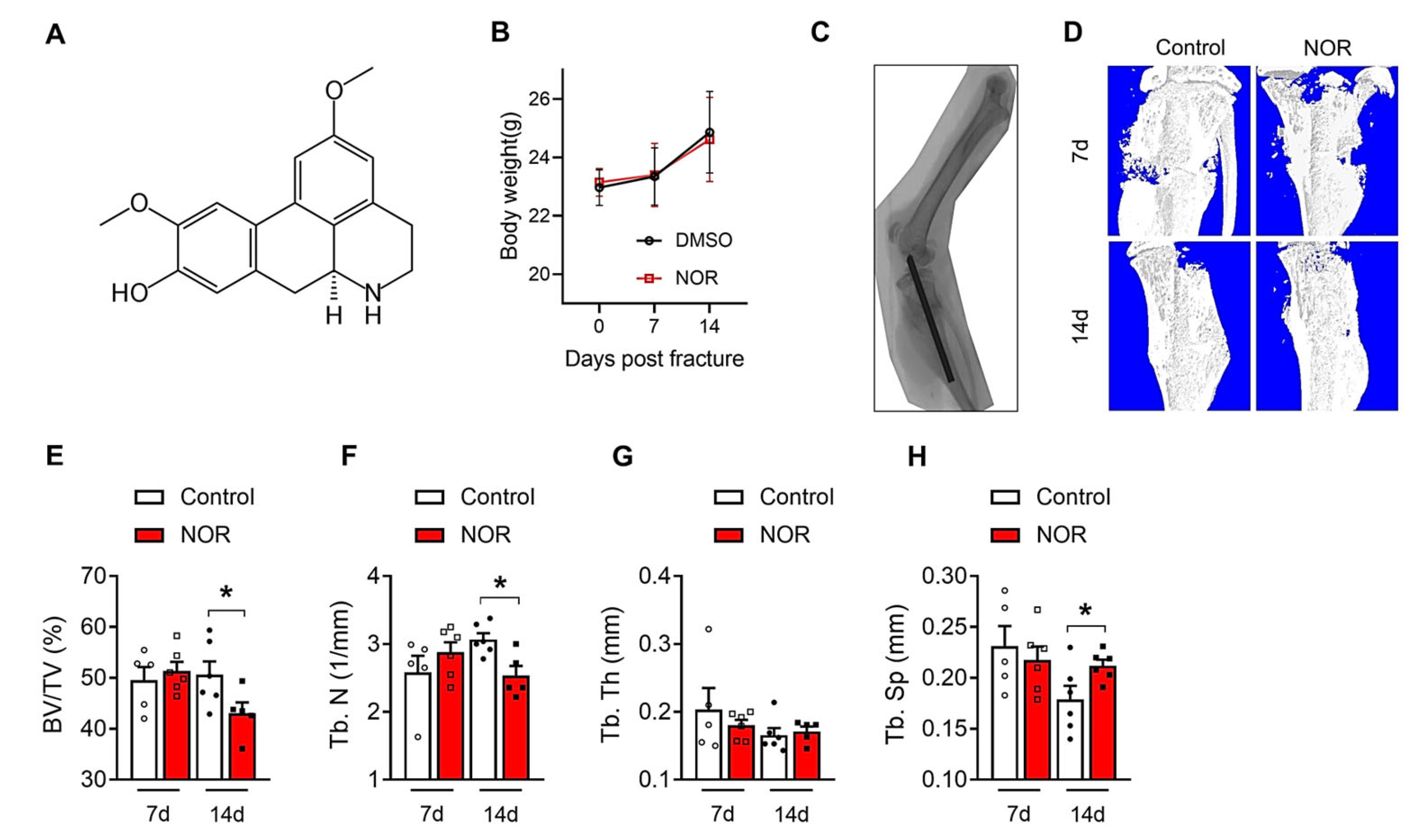 Biomedicines 11 02031 g001