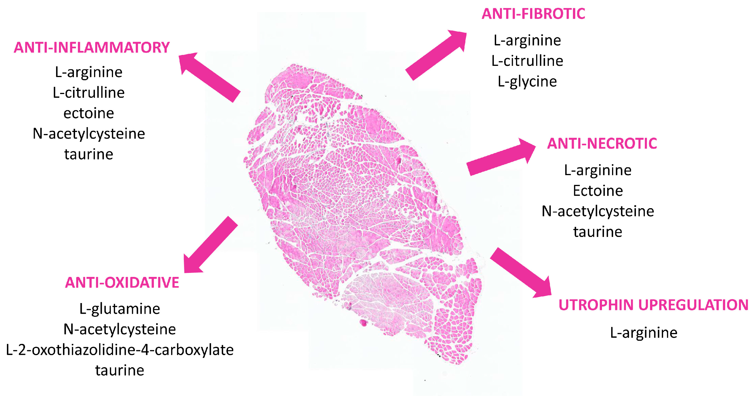 Biomedicines 11 02033 g001