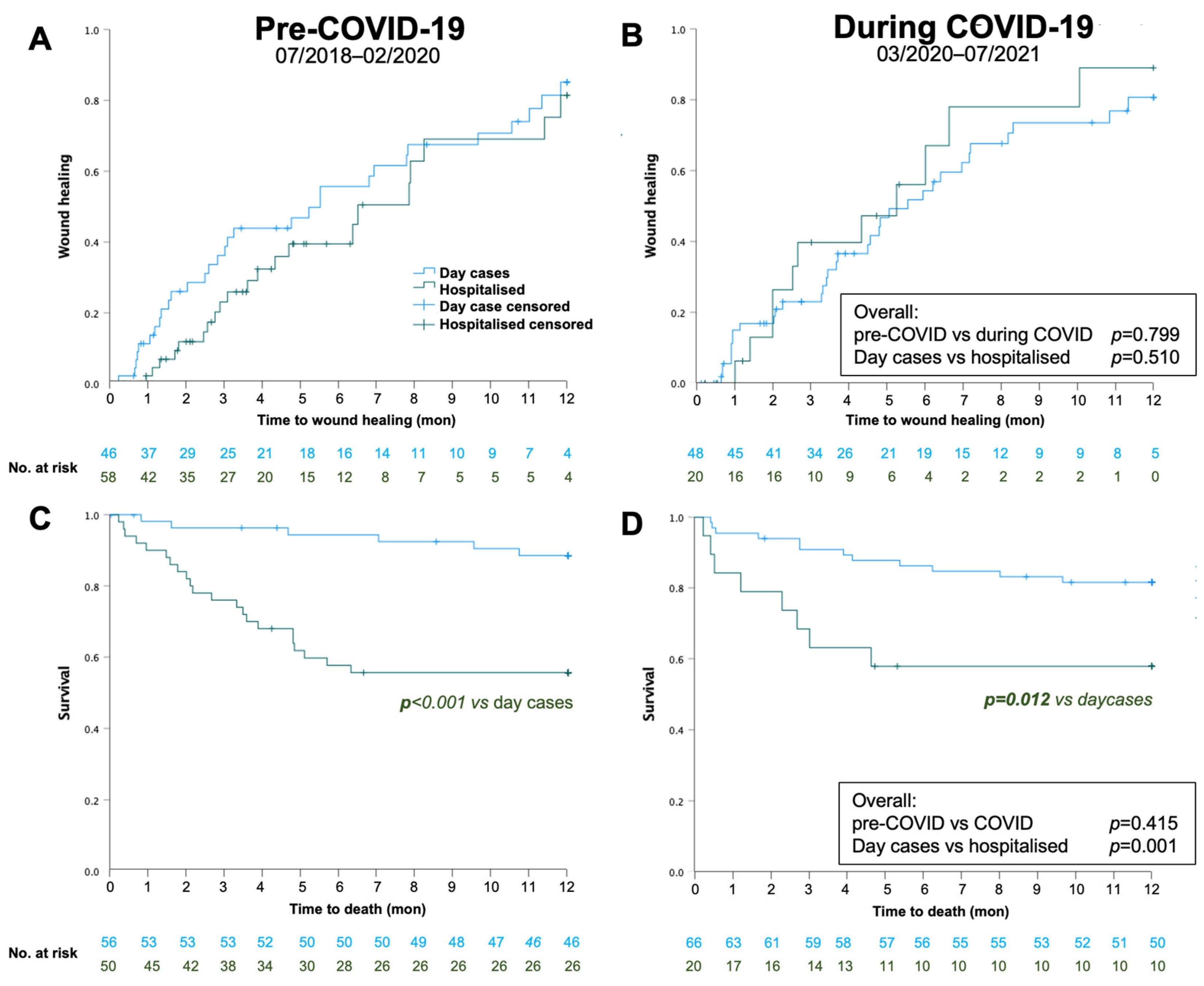 Biomedicines 11 02034 g002