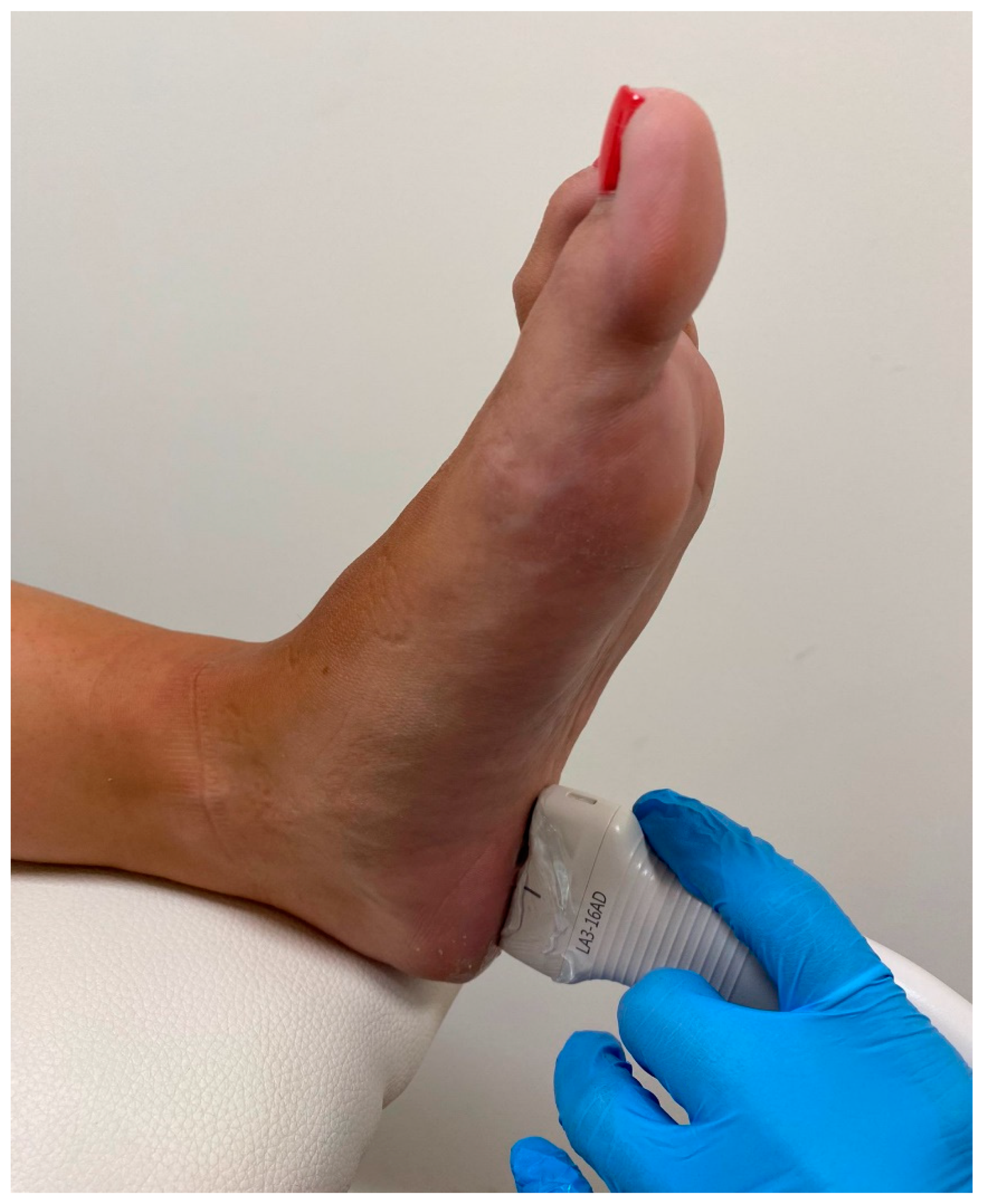 Biomedicines 11 02040 g002