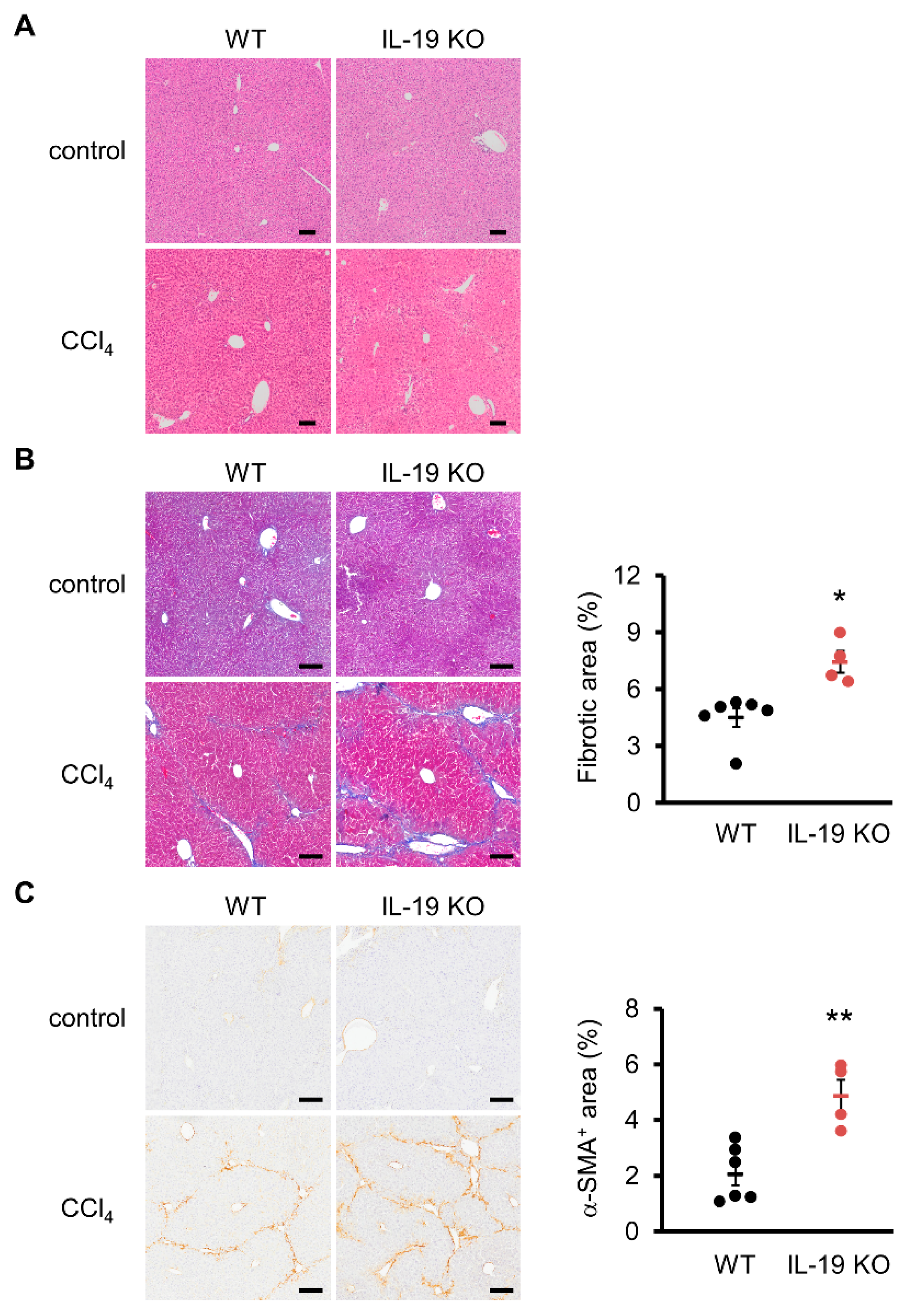 Biomedicines 11 02064 g003 Biomedicines 11 02064 g003