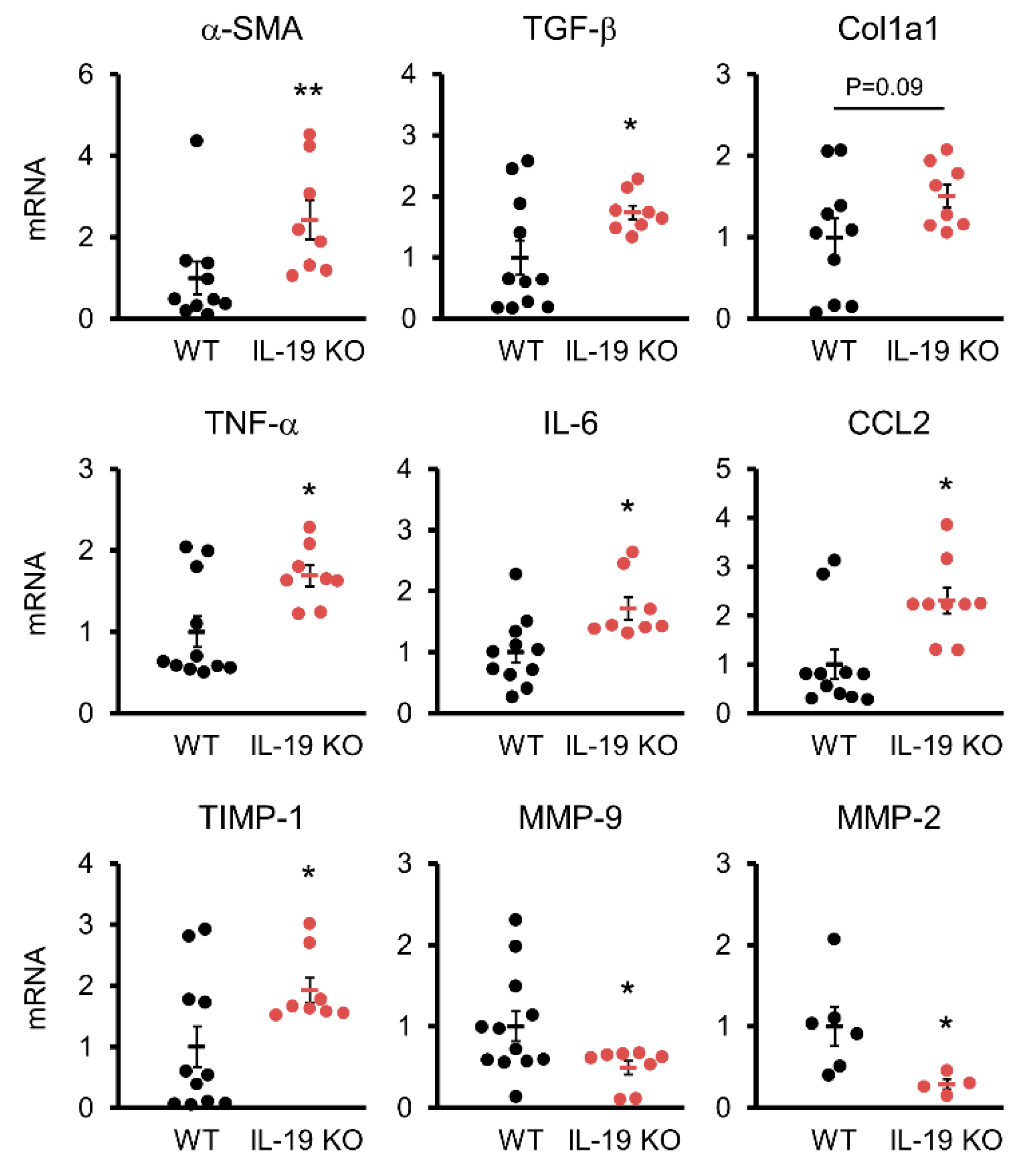 Biomedicines 11 02064 g004 Biomedicines 11 02064 g004