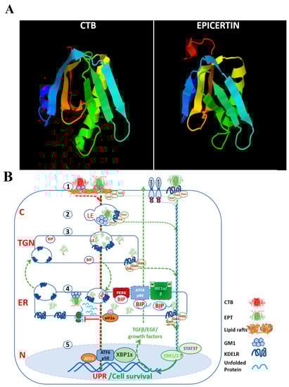 Biomedicines 11 02066 g001