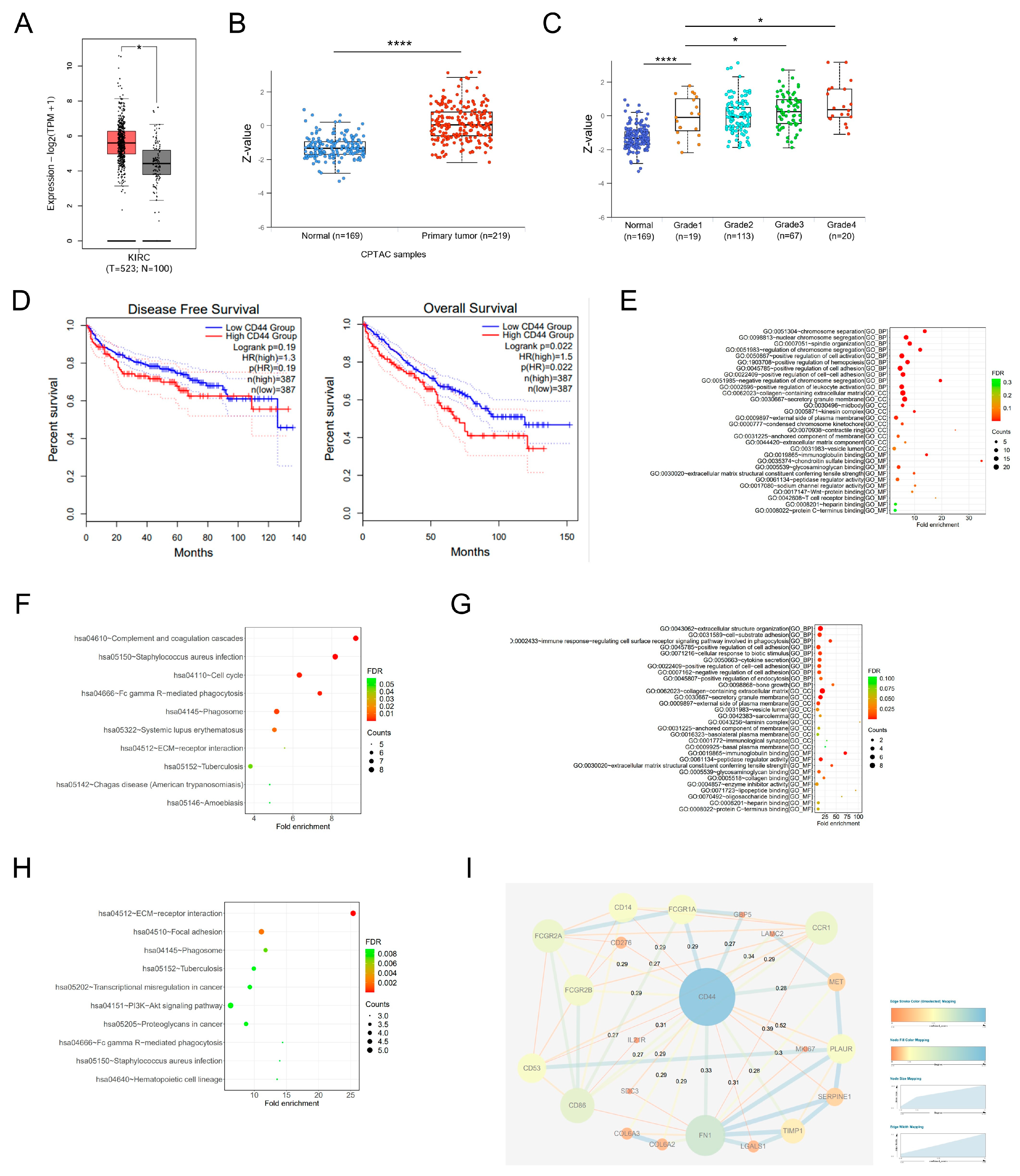 Biomedicines 11 02077 g001 Biomedicines 11 02077 g001