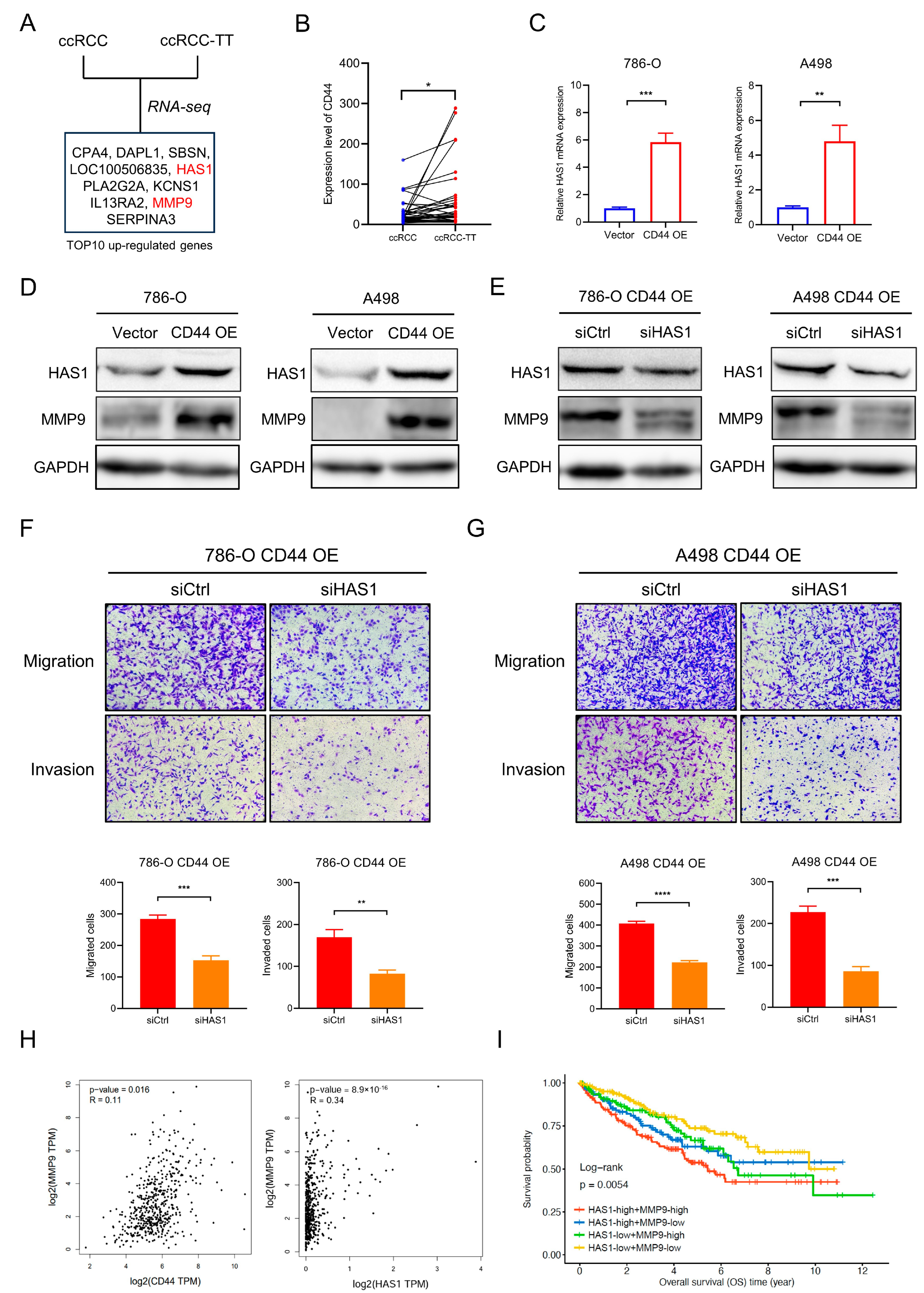 Biomedicines 11 02077 g004 Biomedicines 11 02077 g004
