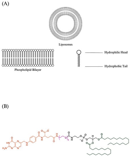 Biomedicines 11 02080 g002