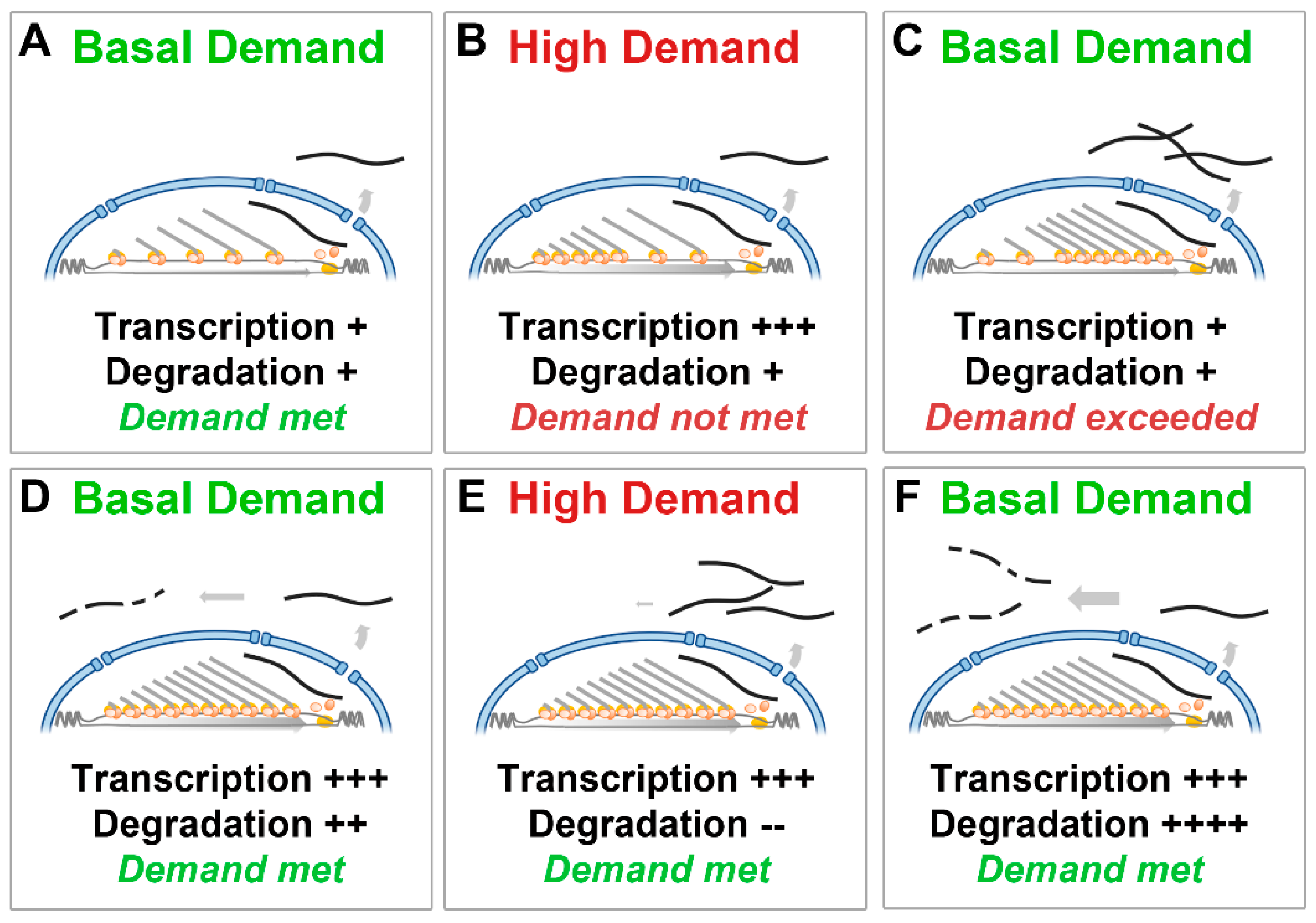 Biomedicines 11 02082 g004