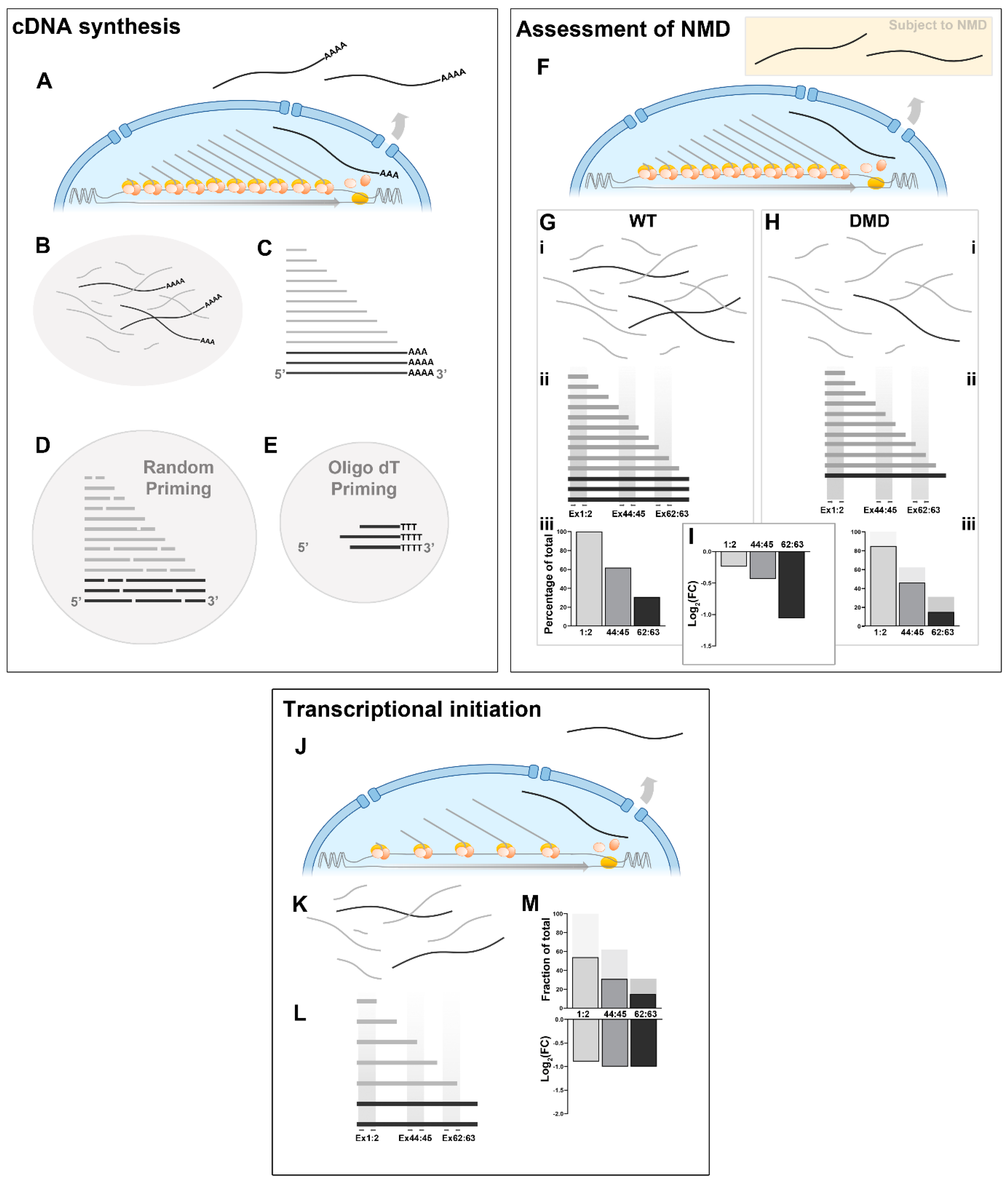 Biomedicines 11 02082 g005