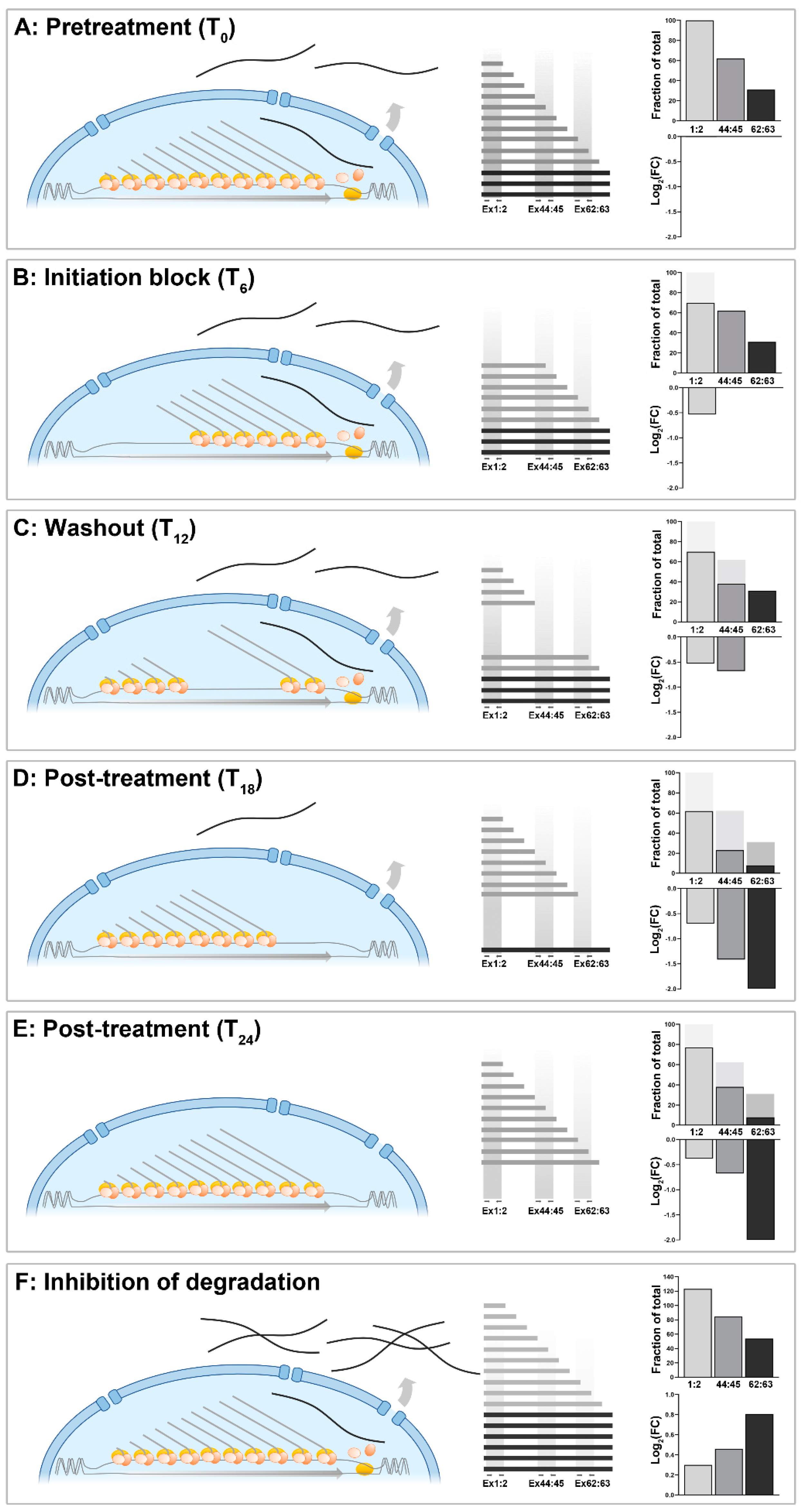 Biomedicines 11 02082 g006