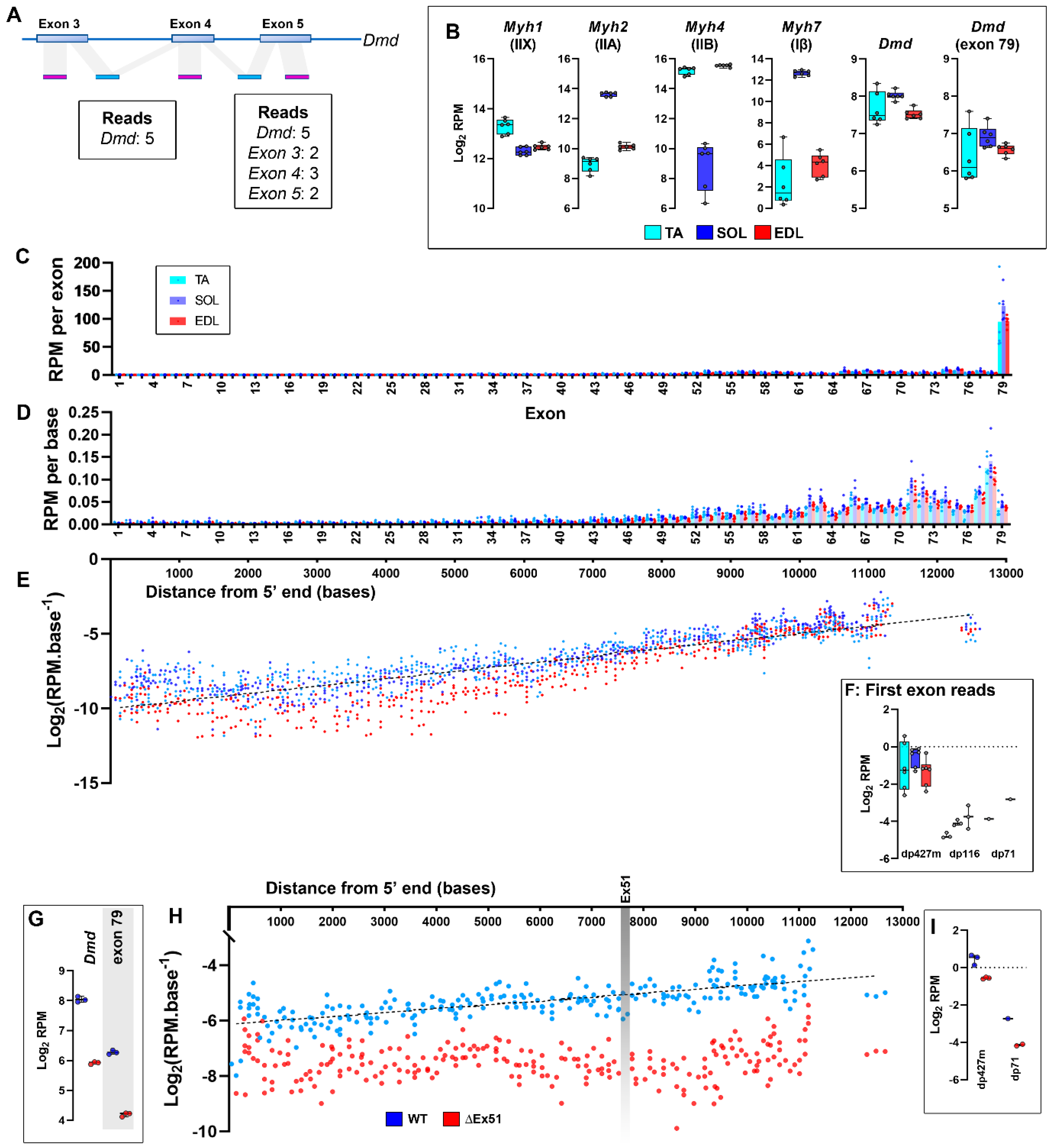 Biomedicines 11 02082 g008