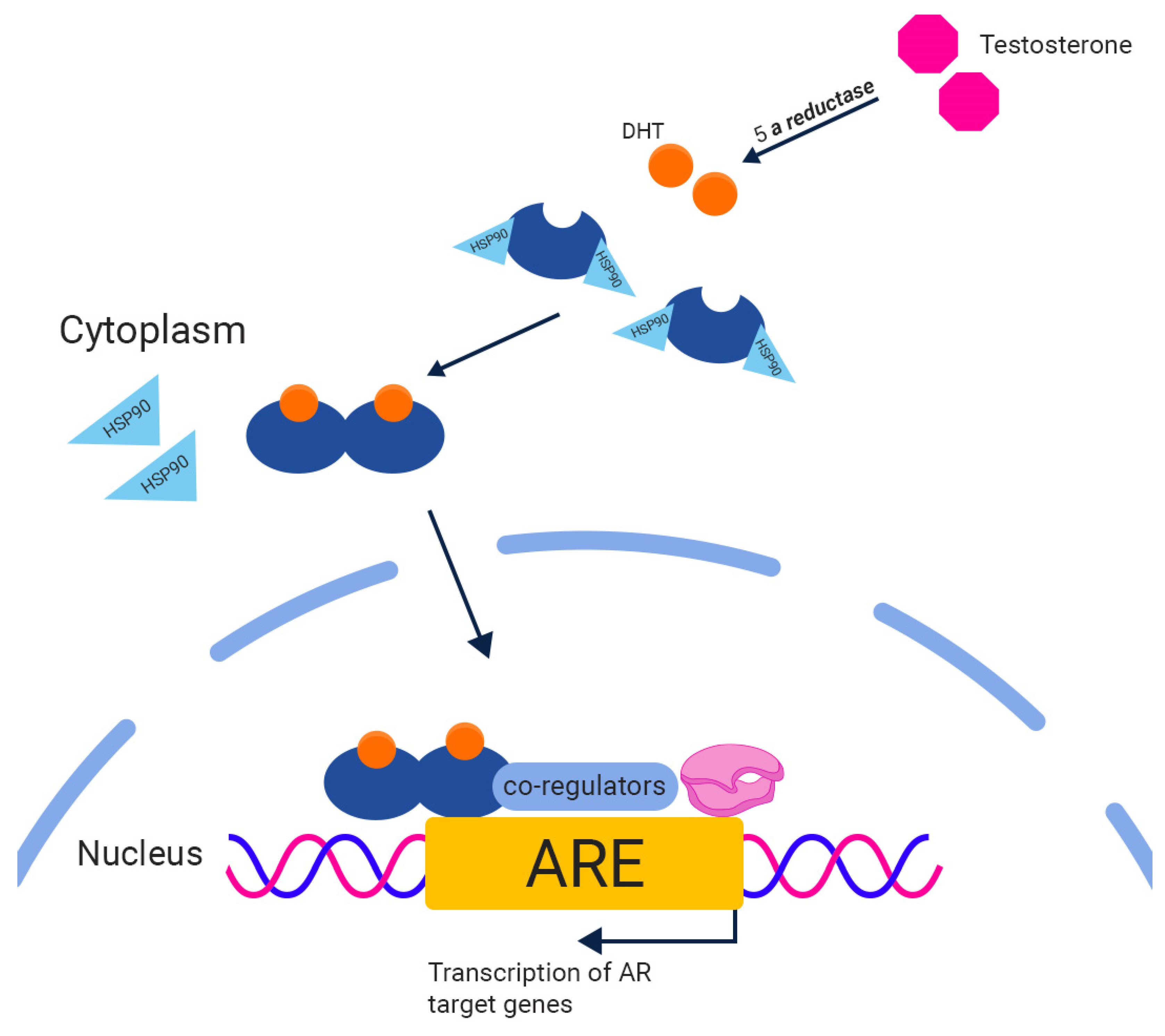 Biomedicines 11 02084 g001