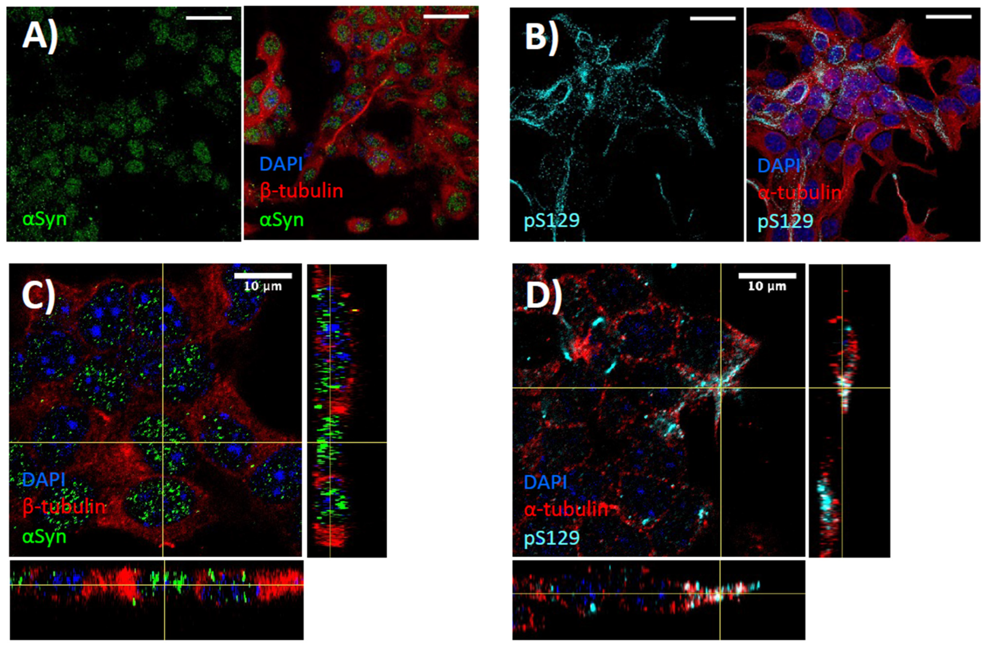 Biomedicines 11 02089 g001