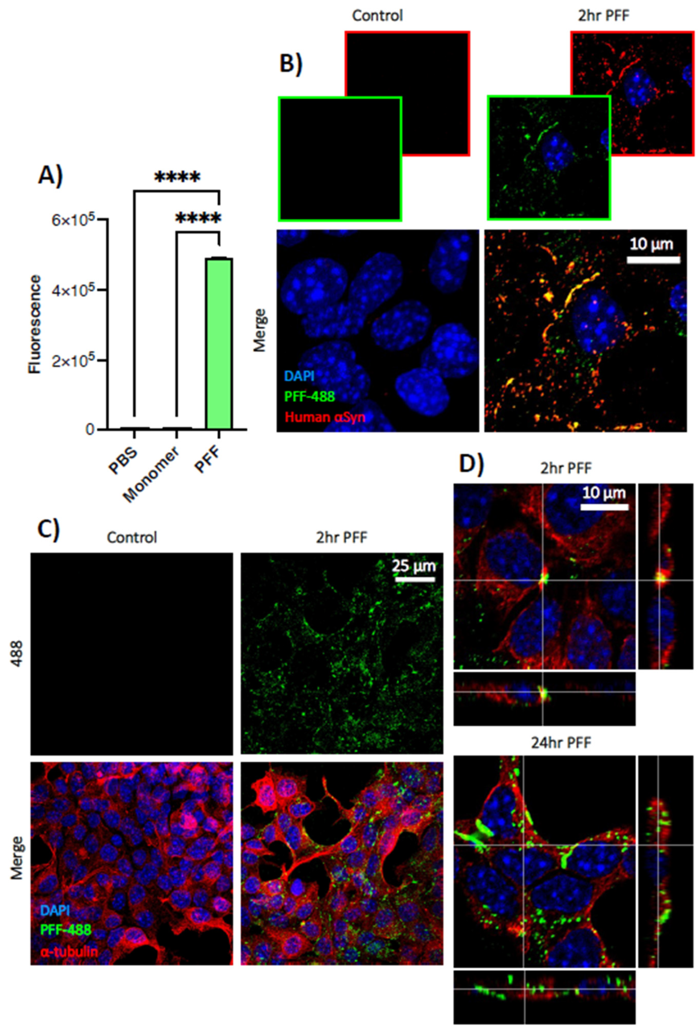 Biomedicines 11 02089 g002
