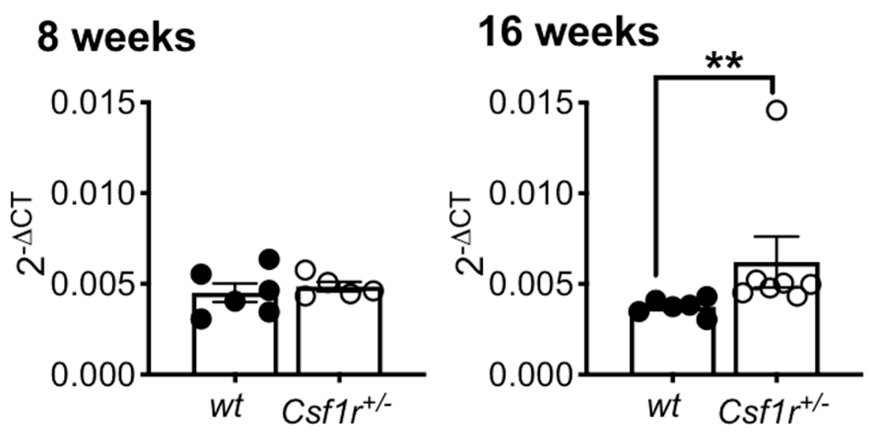 Biomedicines 11 02094 g002 Biomedicines 11 02094 g002